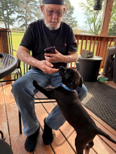 Enlarge Rascal, a ADOPTABLE mixed breed in Okmulgee, OK image 3/5