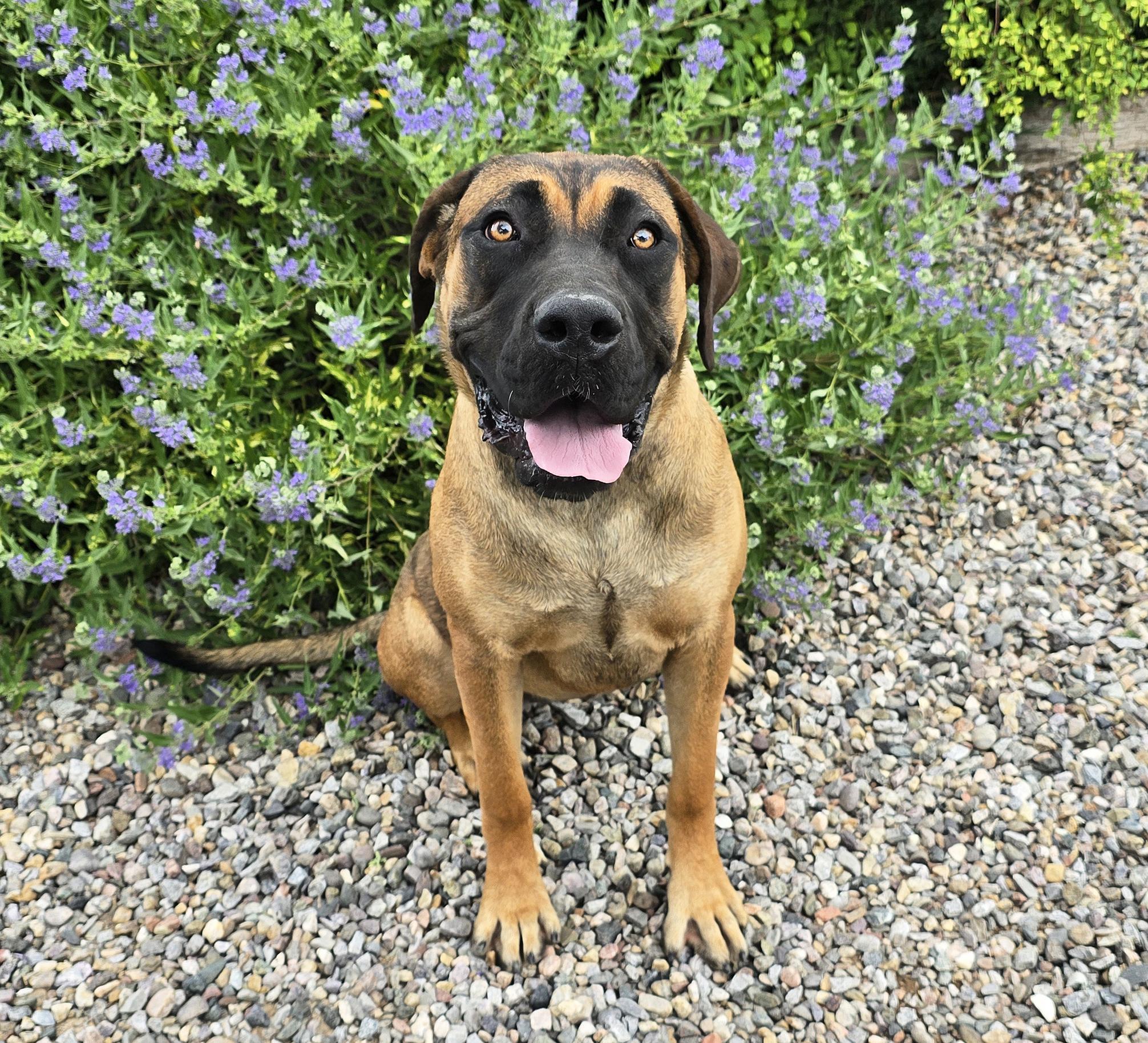 Incredible Ms Irie ~ thumbnail 4