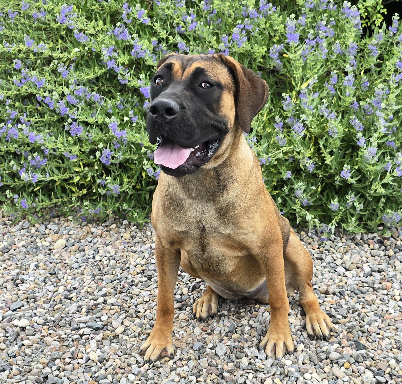 Incredible Ms Irie ~ thumbnail 5