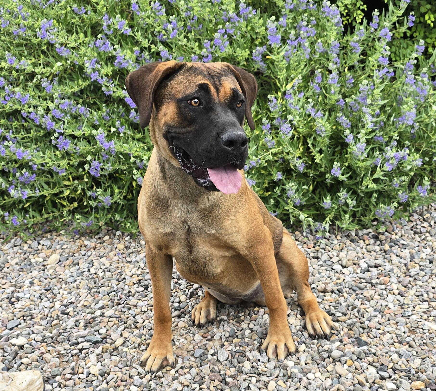 Incredible Ms Irie ~ thumbnail 3