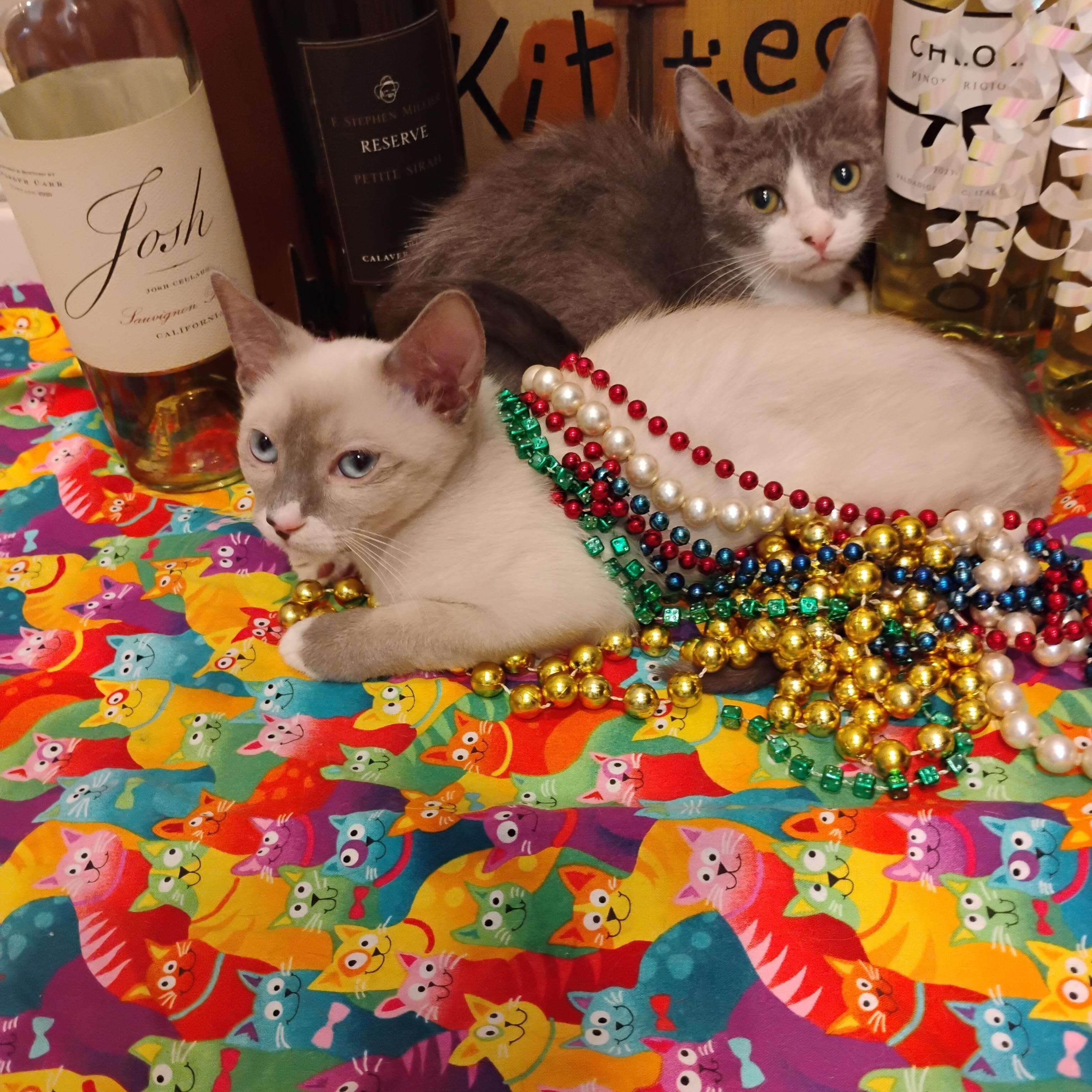 santorini bicolored gry/wh 2lbs M (see sangeria) kids $100, Baby Male unknown