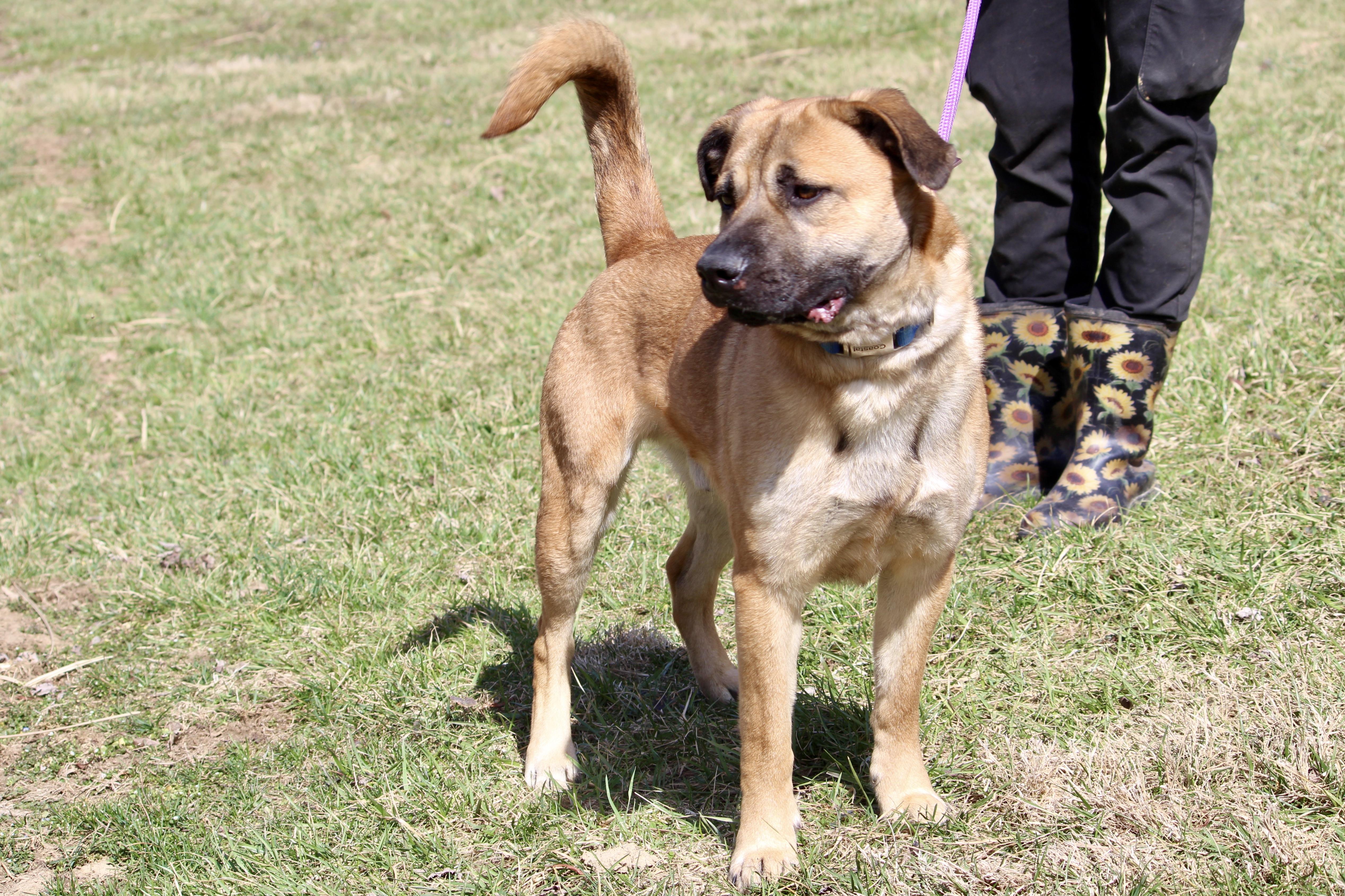 PLUTO — thumbnail 2