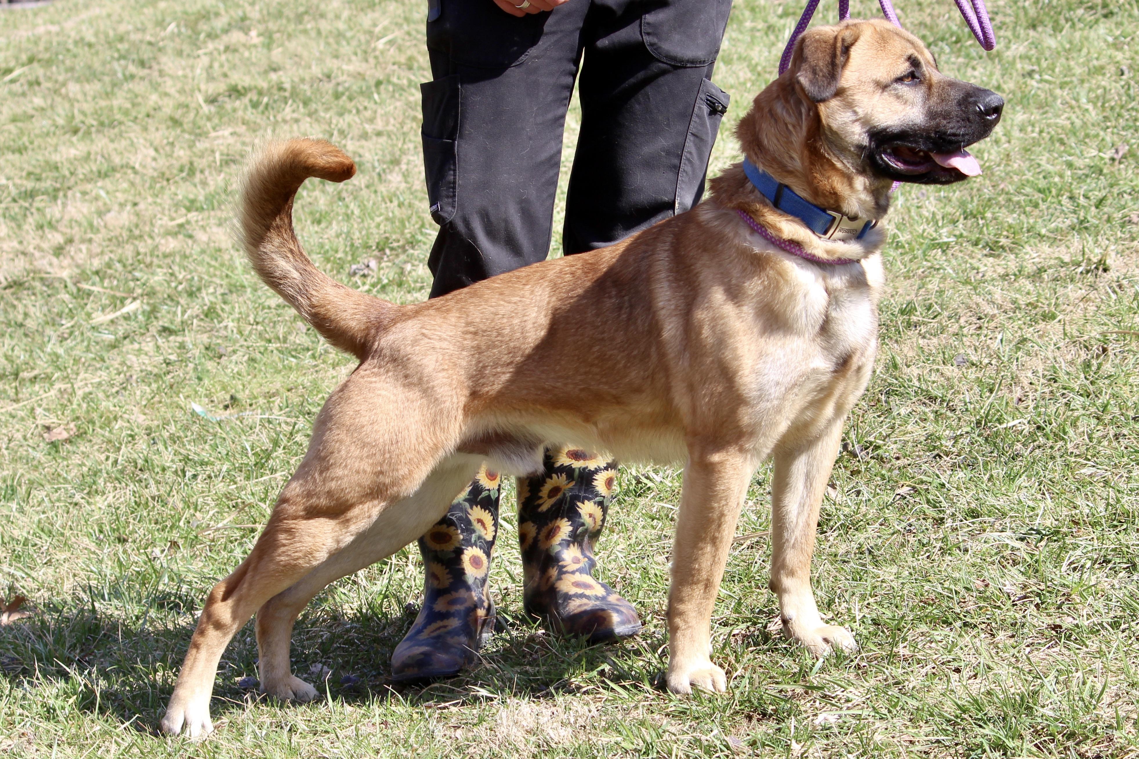 PLUTO — thumbnail 3