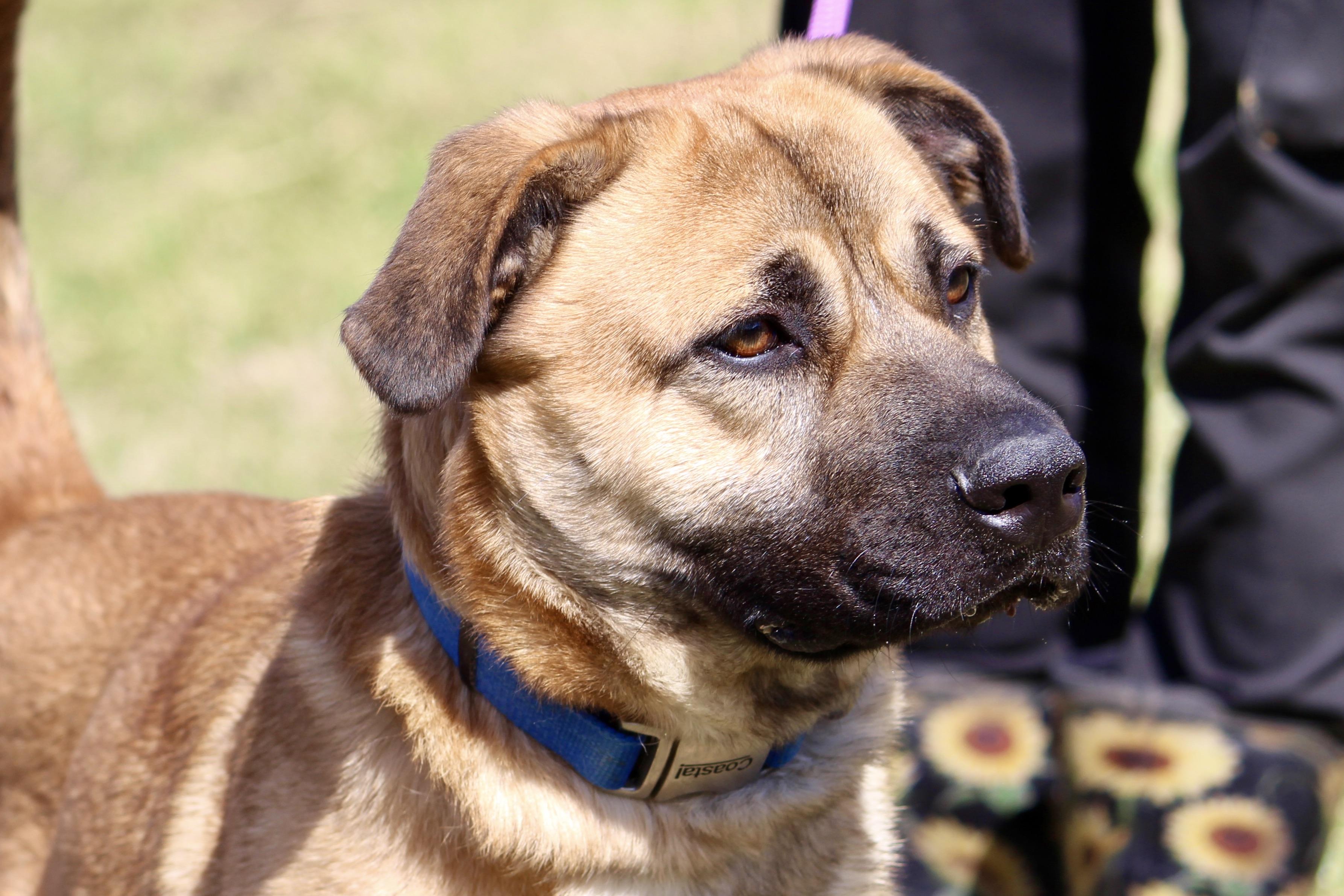 PLUTO — thumbnail 4