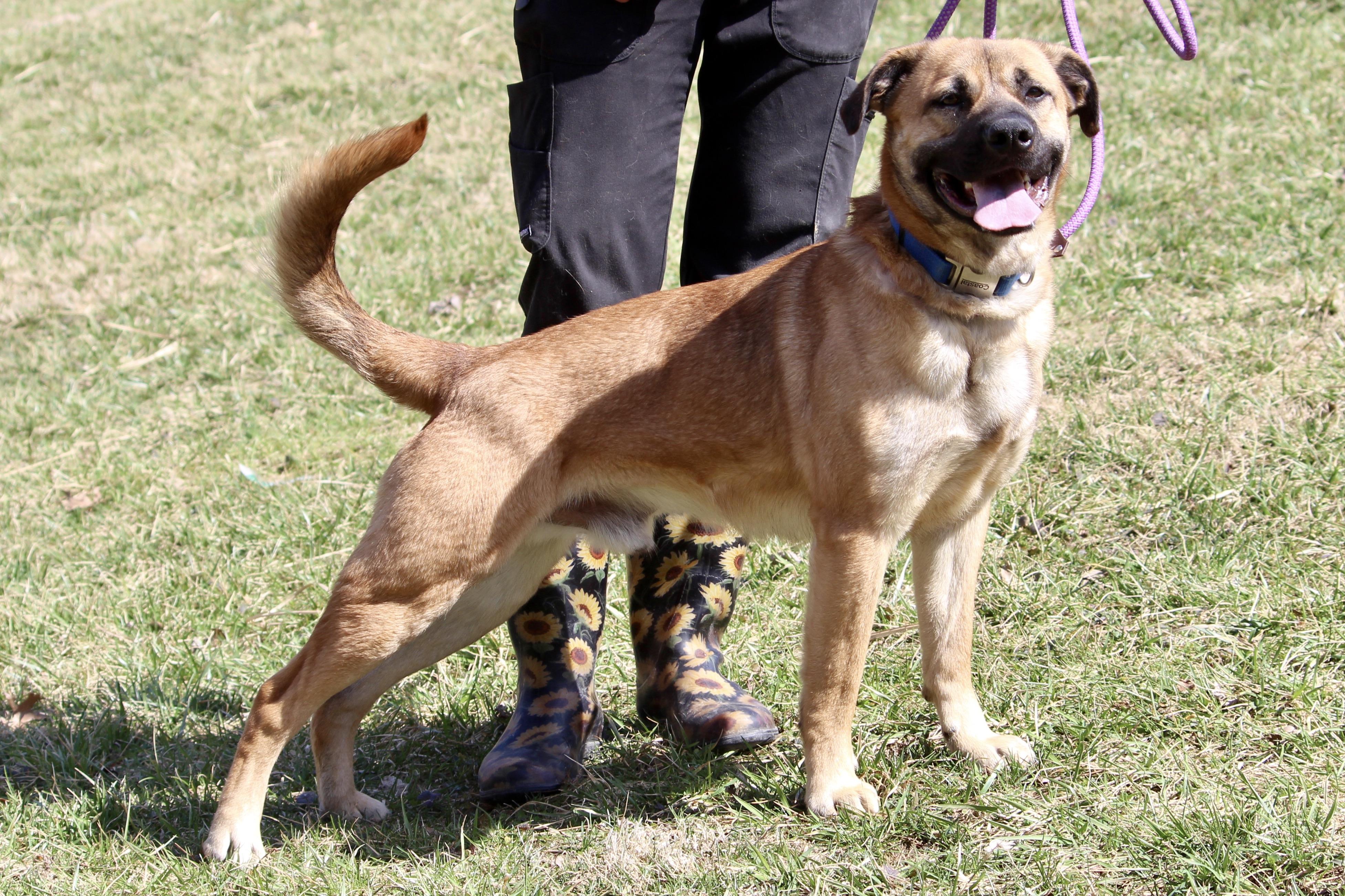 PLUTO — thumbnail 5