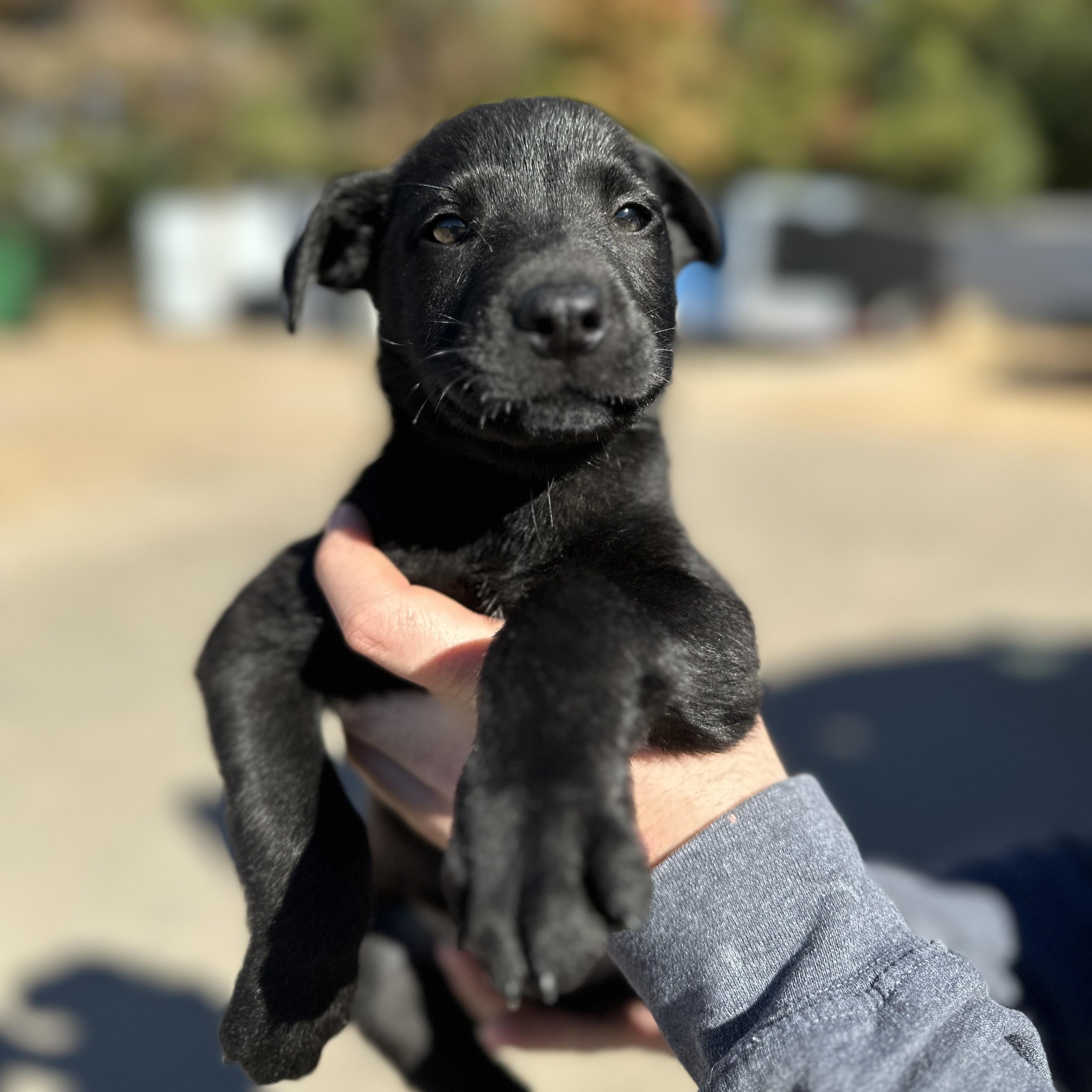 Pass the Cranberry Sauce