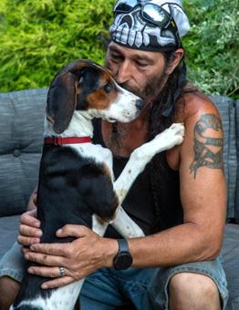 Enlarge Scarlett, a ADOPTABLE mixed breed in Canterbury, CT image 2/4