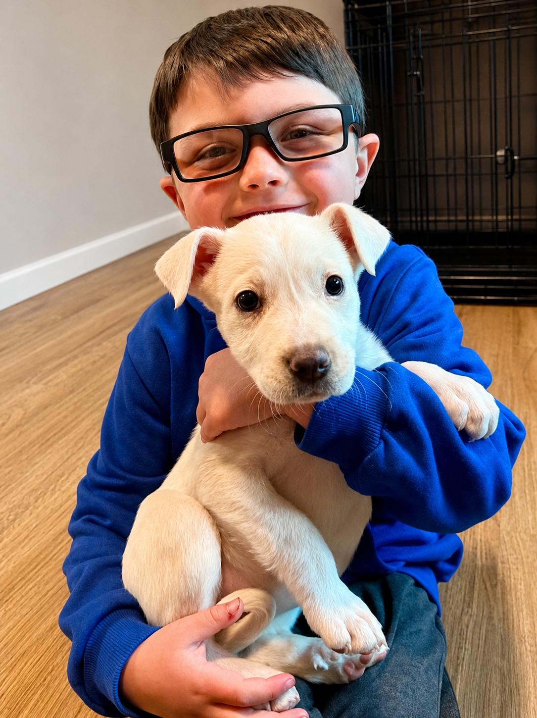 Lucy, a ADOPTABLE Mixed Breed in Kenosha, WI image 2/3