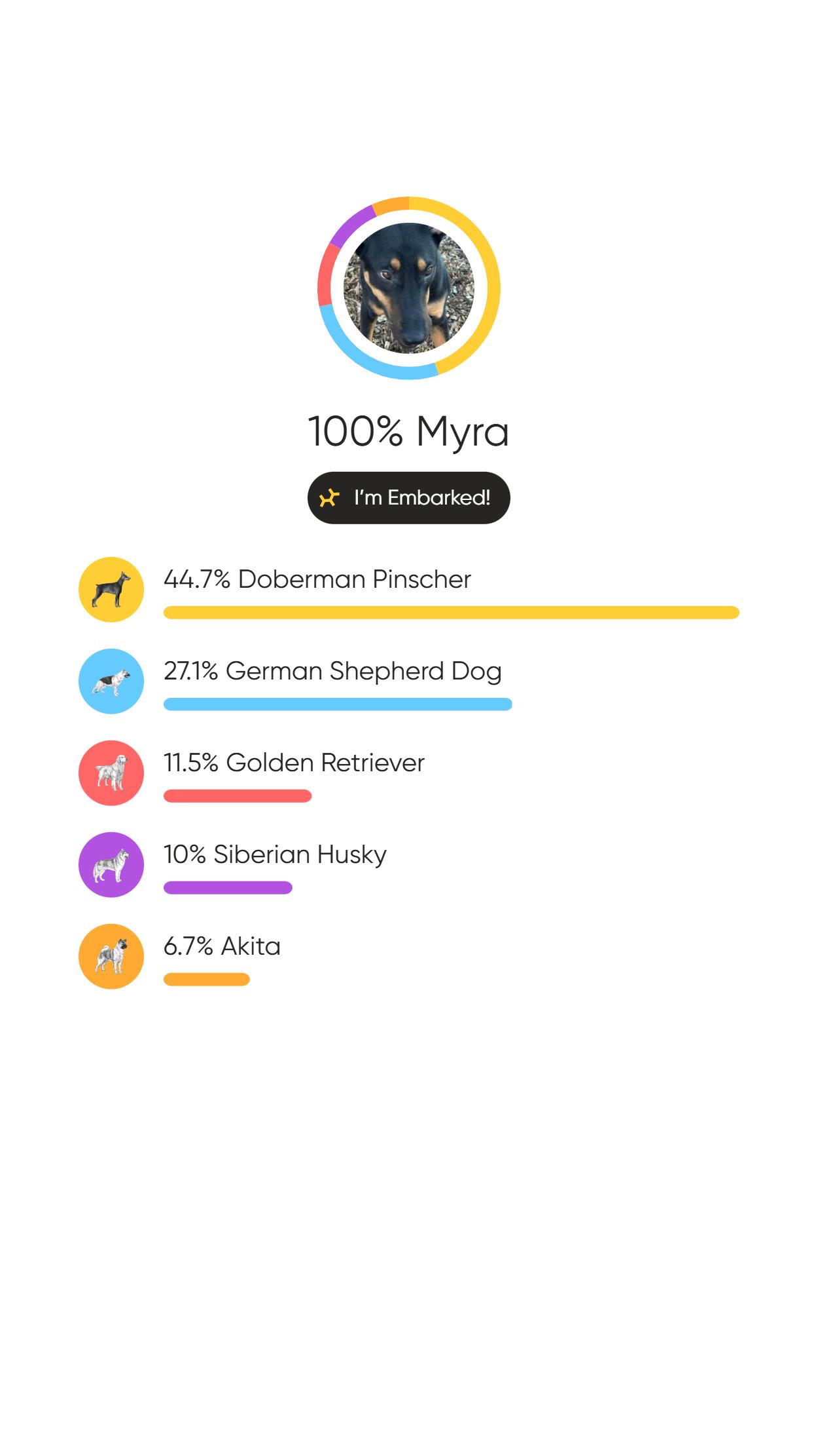 Enlarge Myra, a Adoptable mixed breed in Morgantown, WV image 3/3