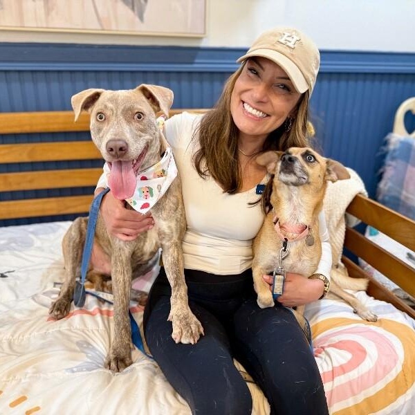 Enlarge Louie Stay Close Lou, a Adoptable mixed breed in Louisville, KY image 2/6