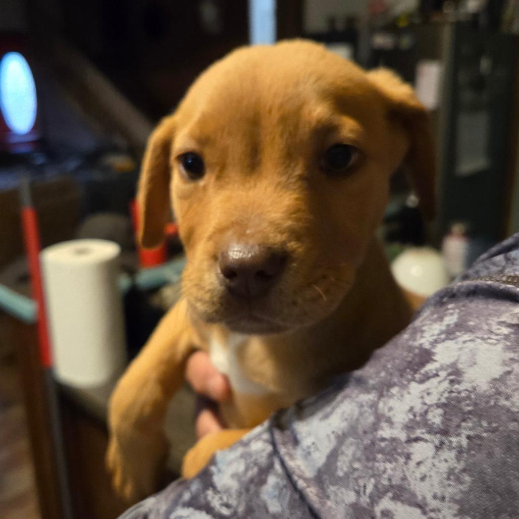 Zephyr — thumbnail 3