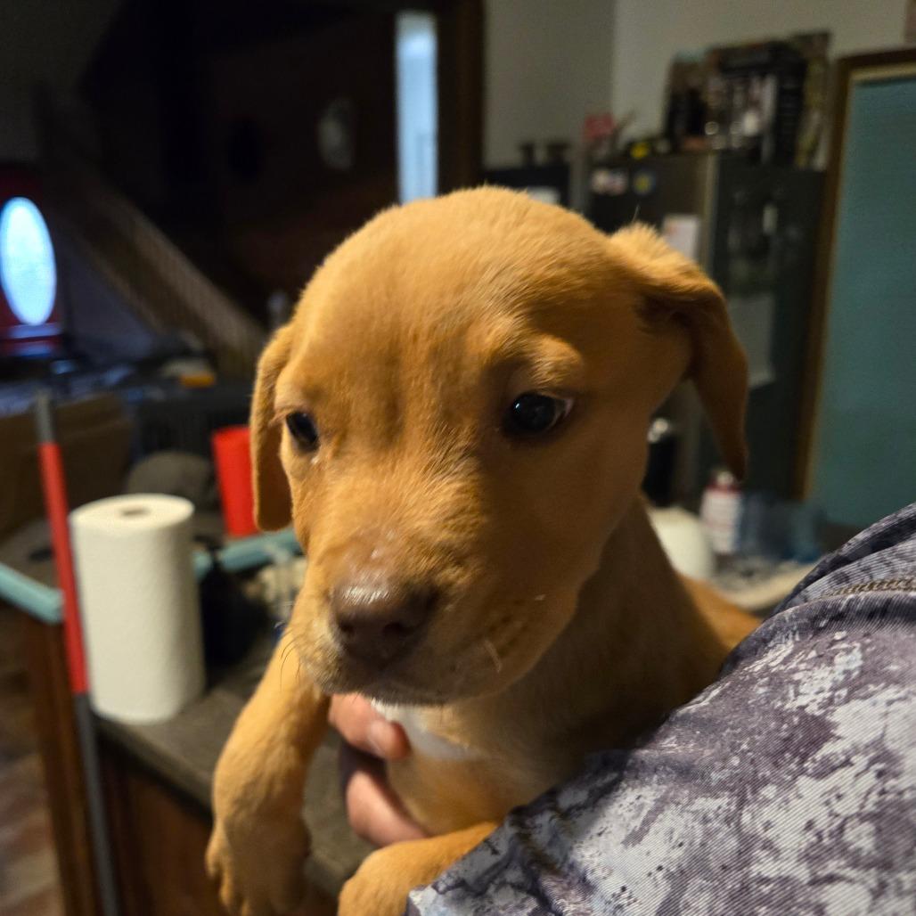 Zephyr — thumbnail 5