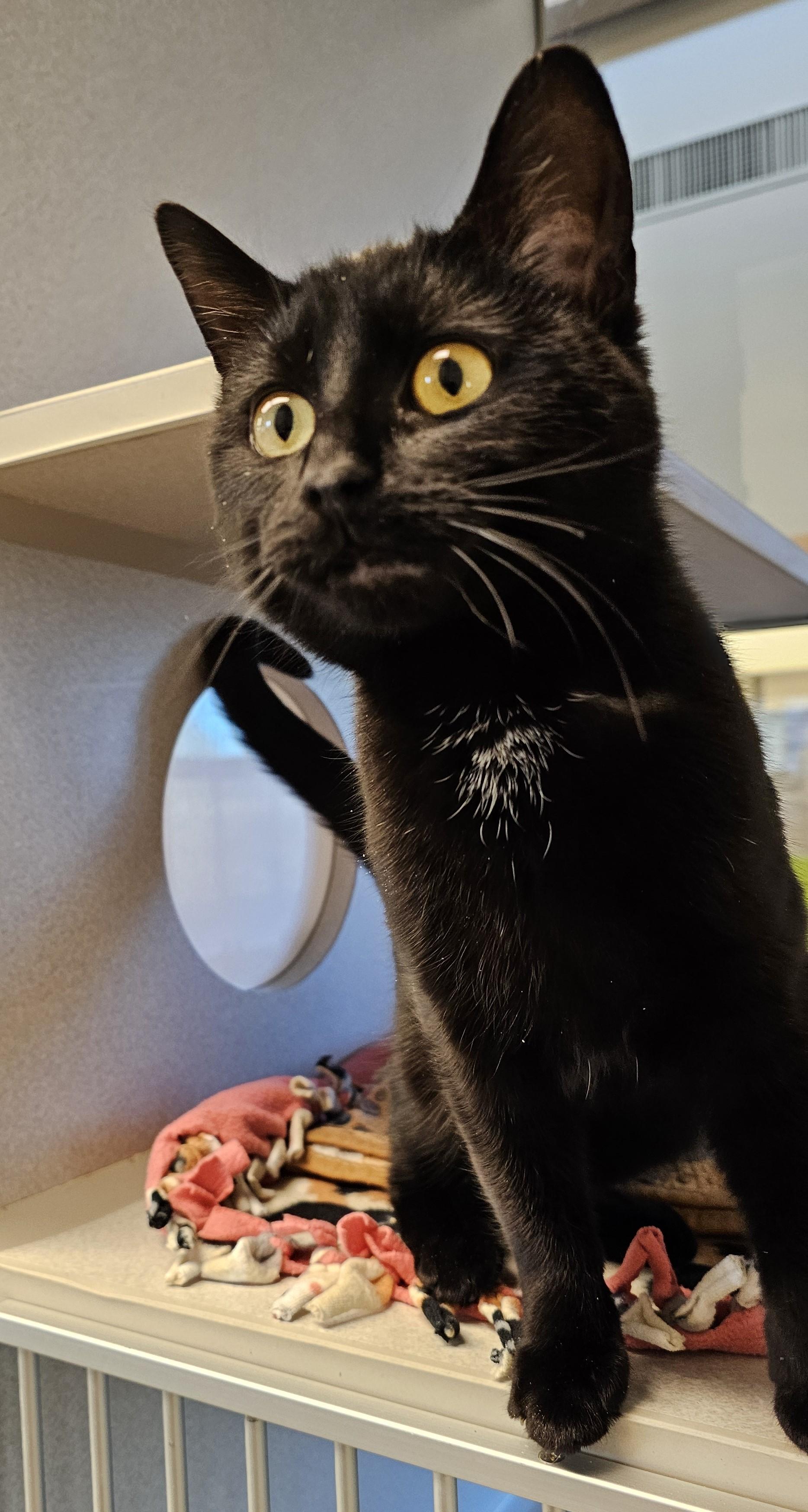 Frida — thumbnail 4