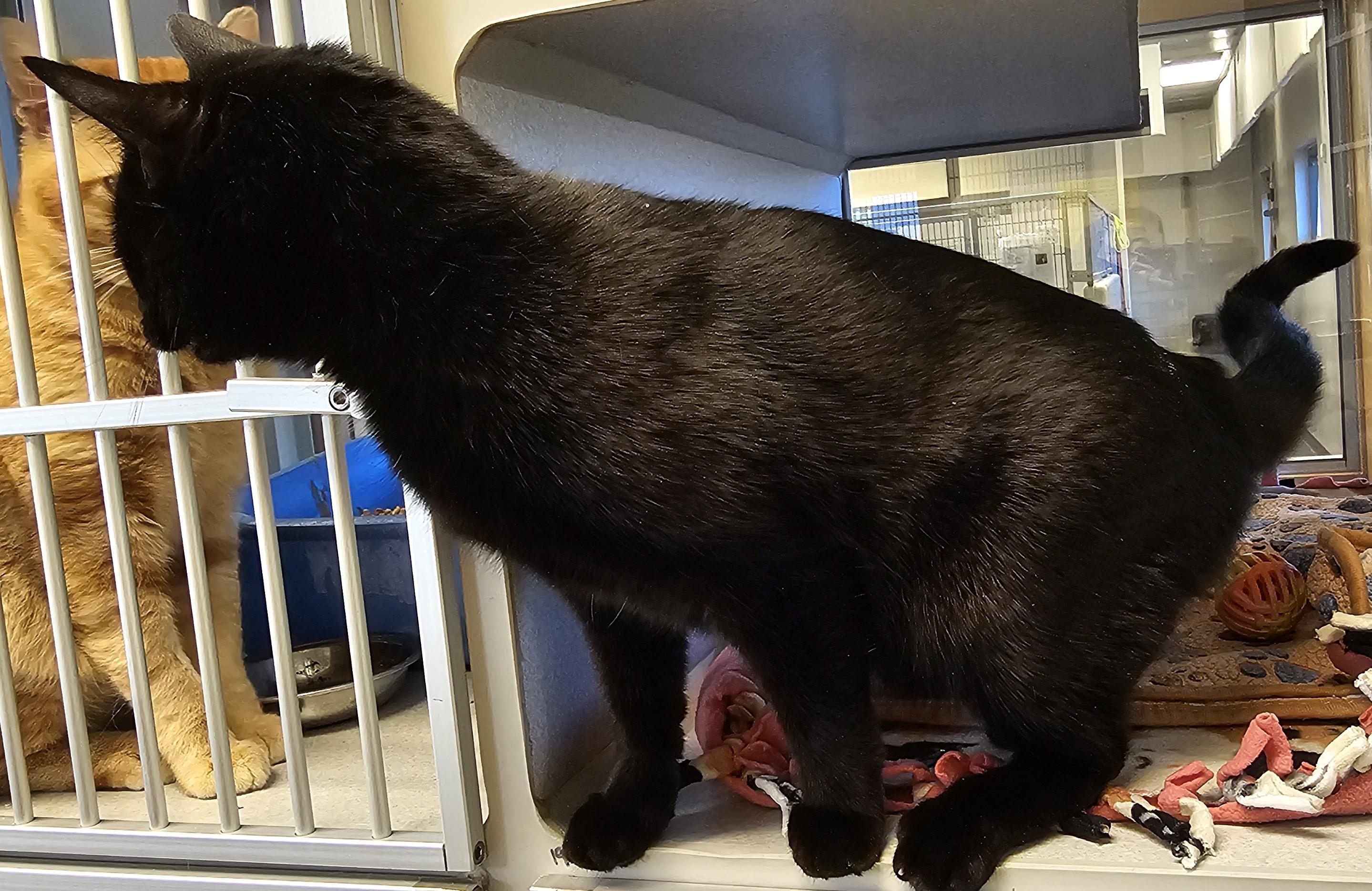 Frida — thumbnail 5