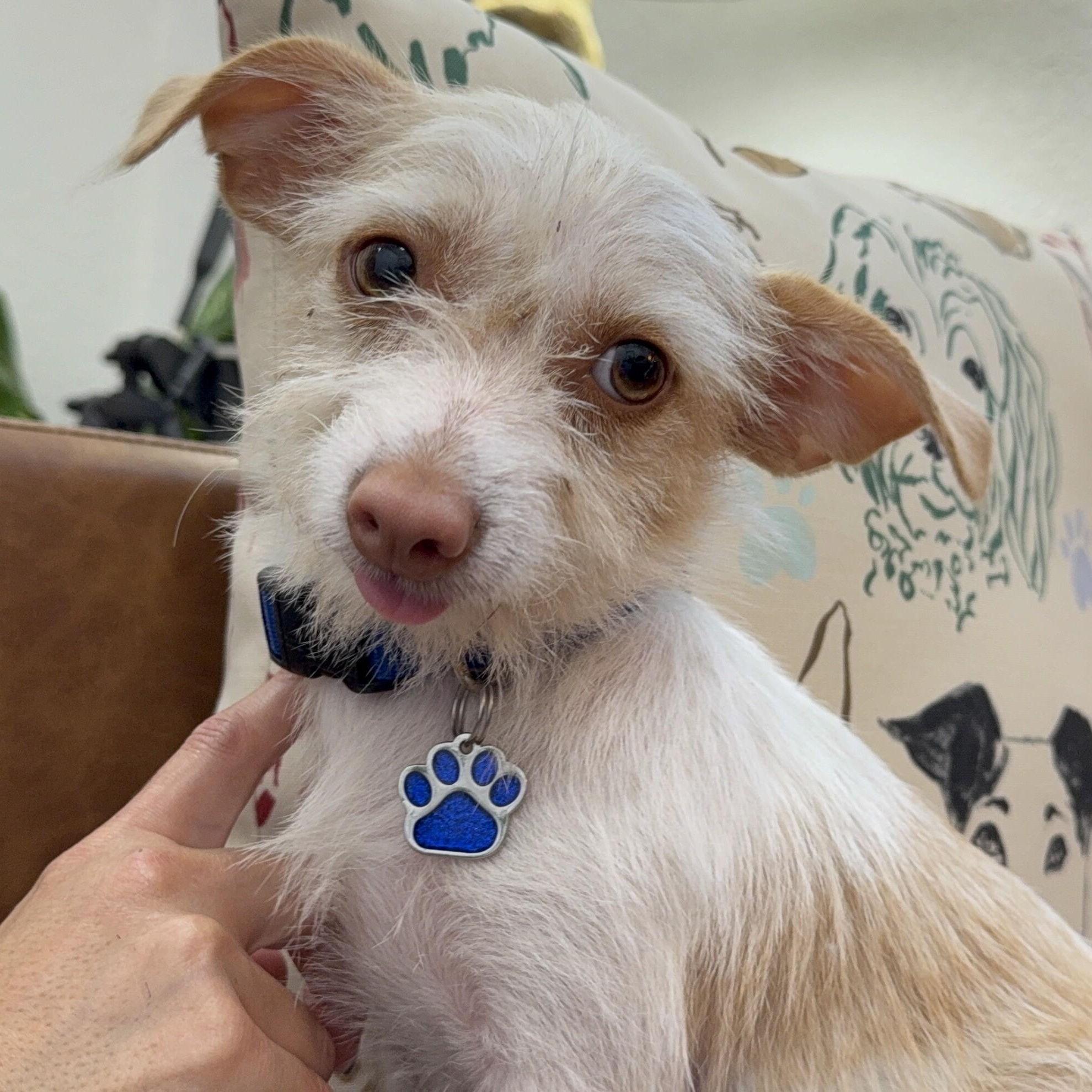 Huckleberry Frolicking Bunnykins — thumbnail 2