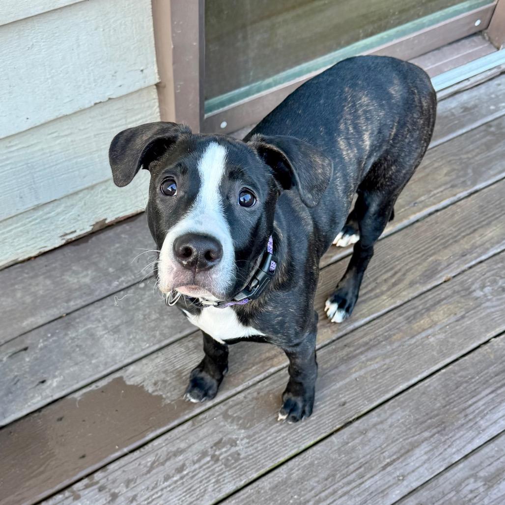 Steve — thumbnail 3