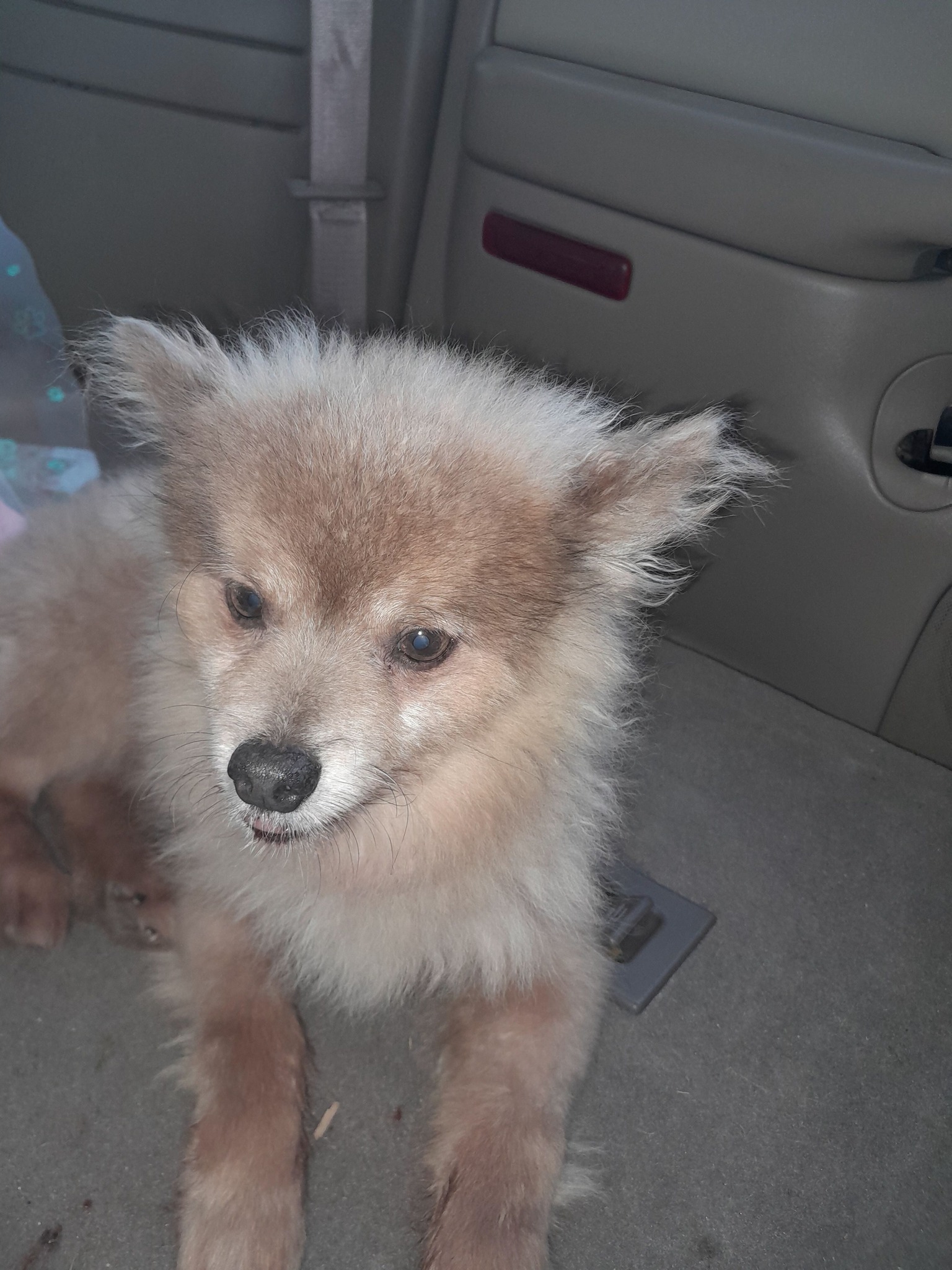 Bearbear  Richmond  thumbnail 2