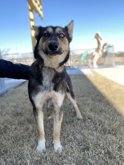 Oona — thumbnail 2