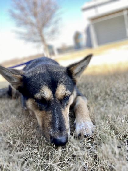 Oona — thumbnail 3