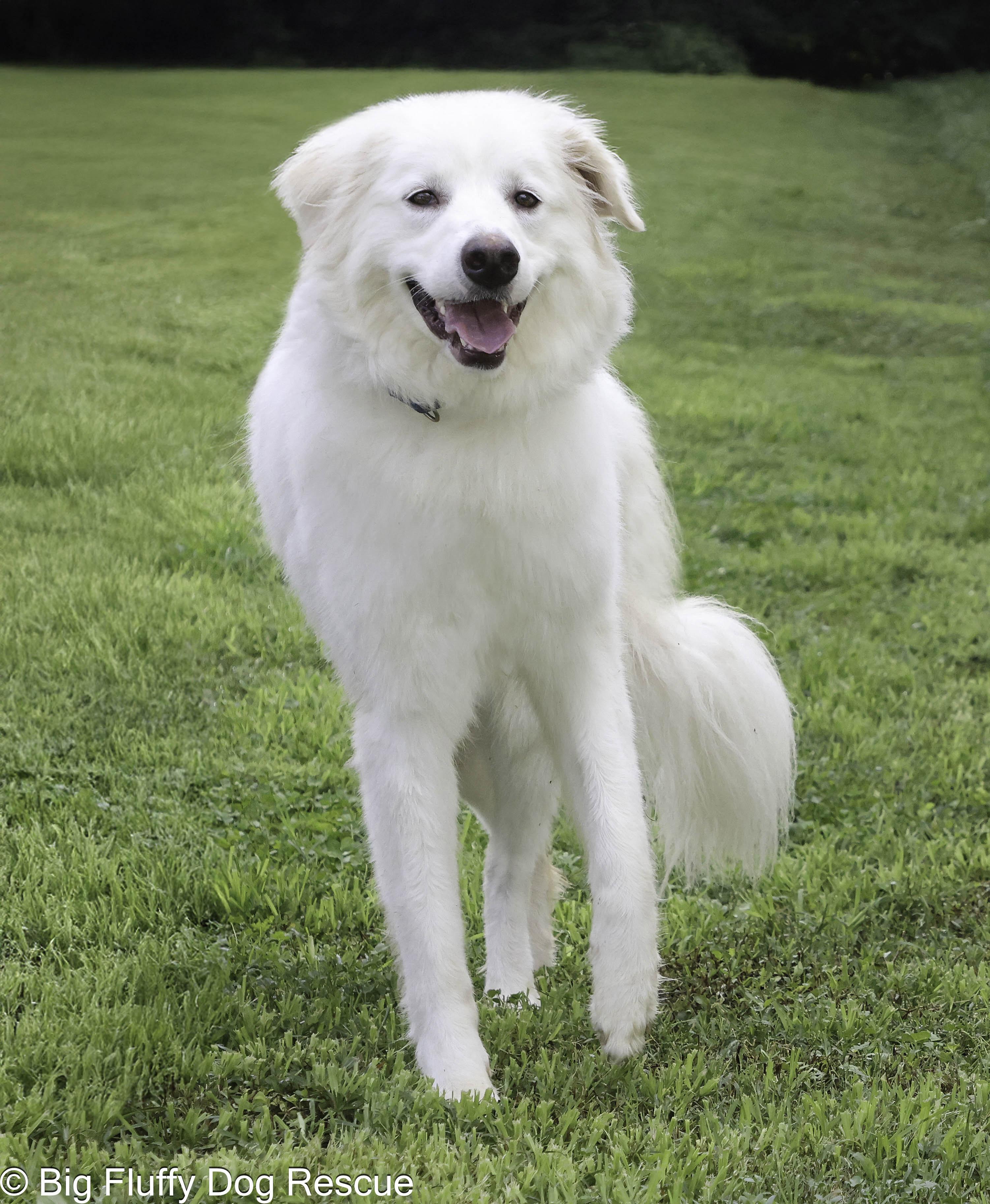 Folly — thumbnail 2