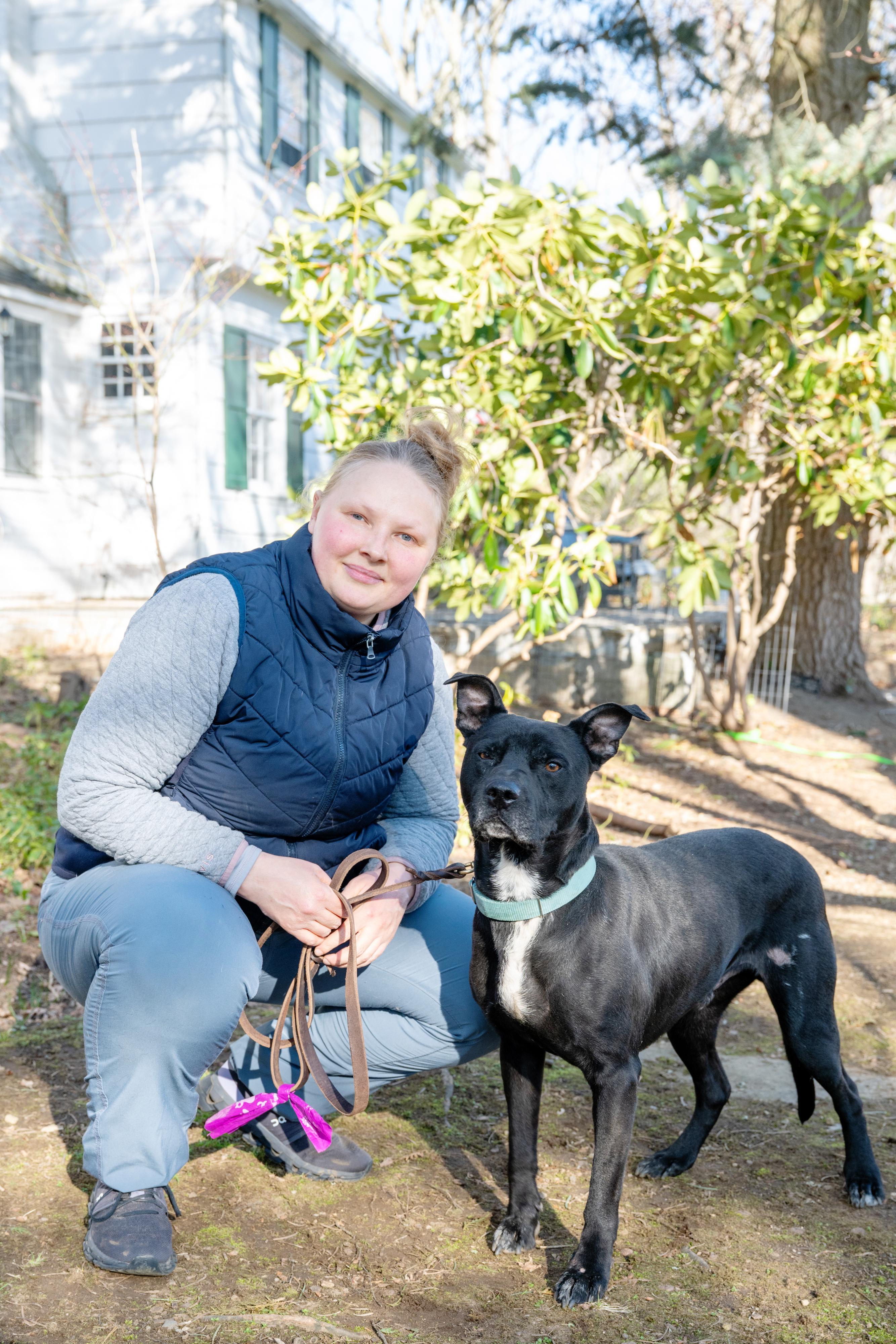 Enlarge Sport, a Adoptable mixed breed in Danbury, CT image 2/6