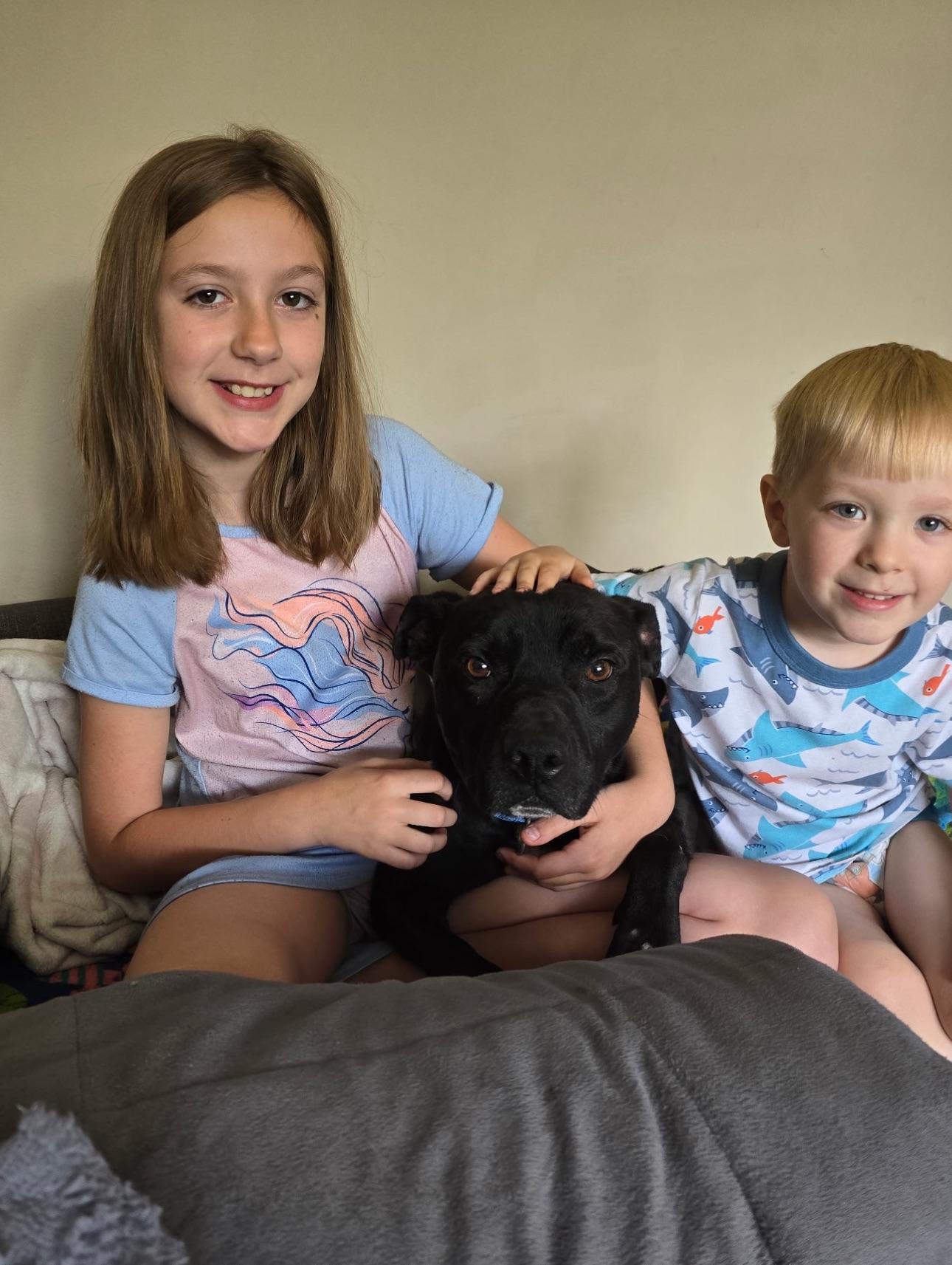 Enlarge Sport, a Adoptable mixed breed in Bayville, NJ image 3/5