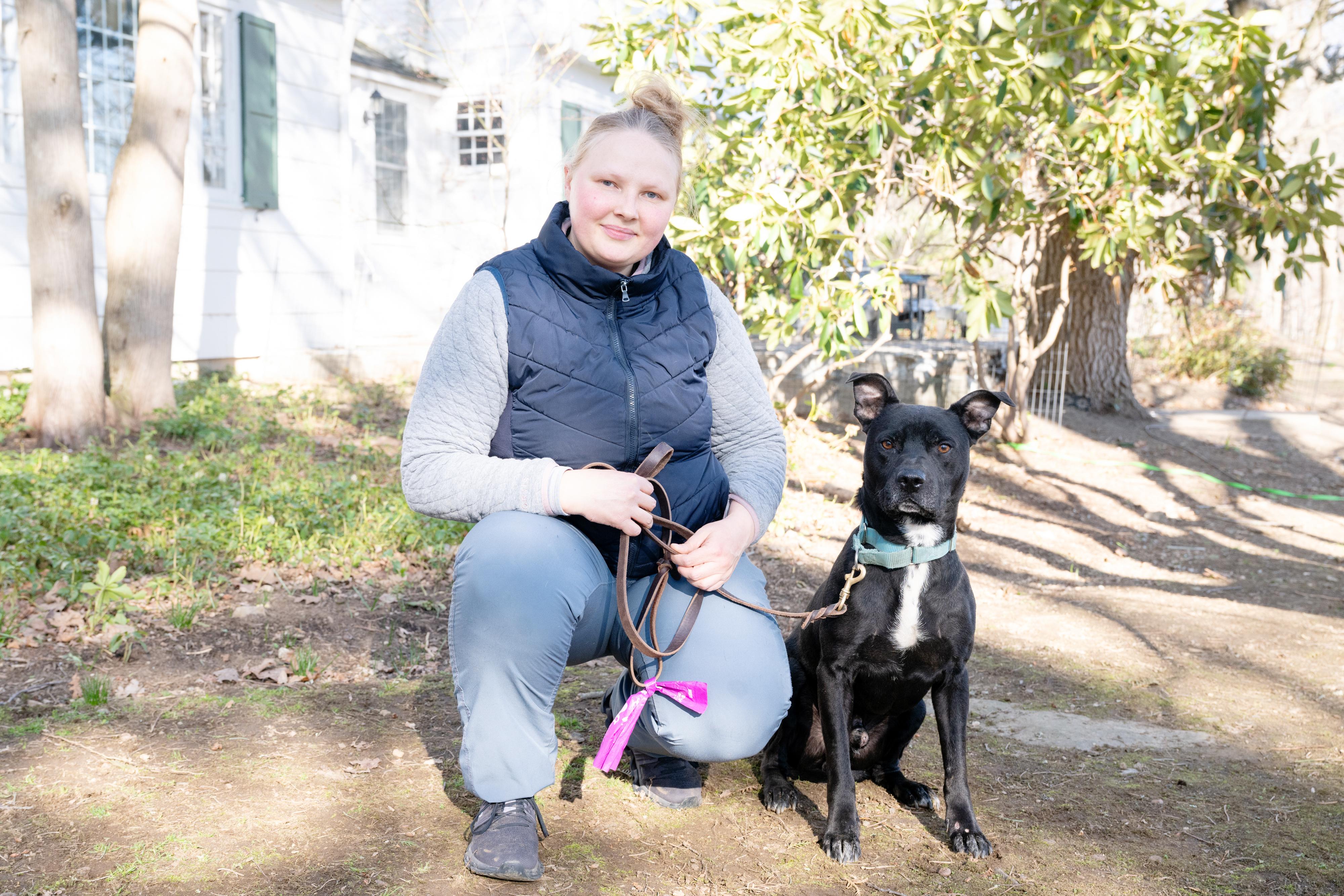 Enlarge Sport, a Adoptable mixed breed in Danbury, CT image 6/6