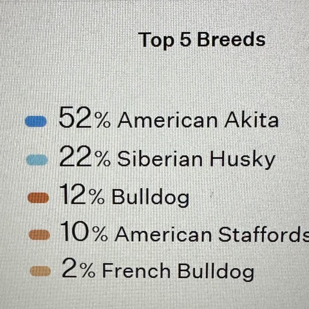 Enlarge Jasmine, a Adoptable mixed breed in Fayetteville, GA image 4/6