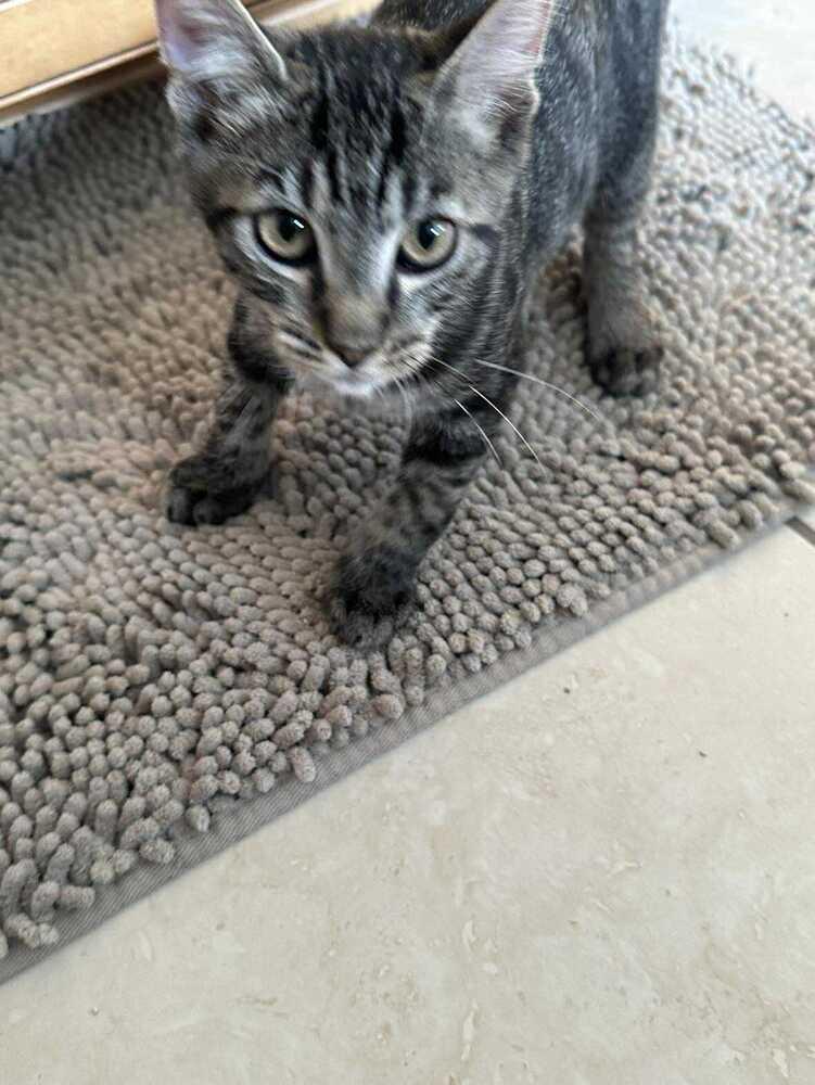 Inspector Gadget — thumbnail 3