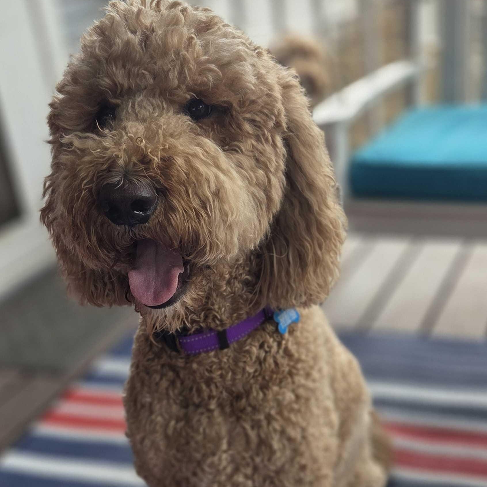 Bob photo 1