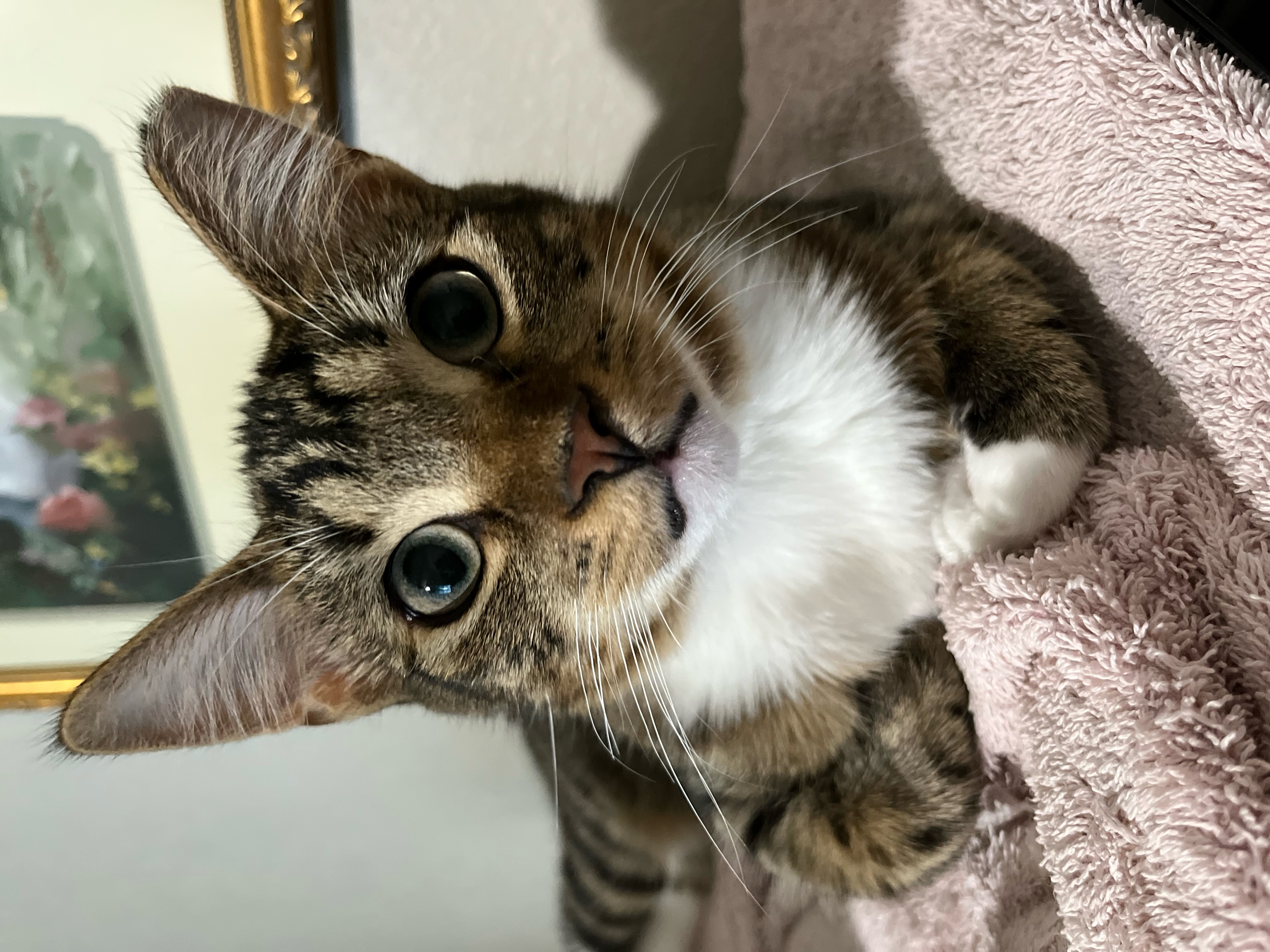 Spunky