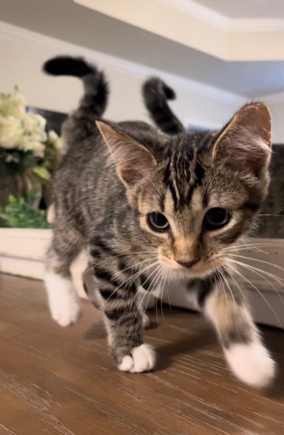 Spunky