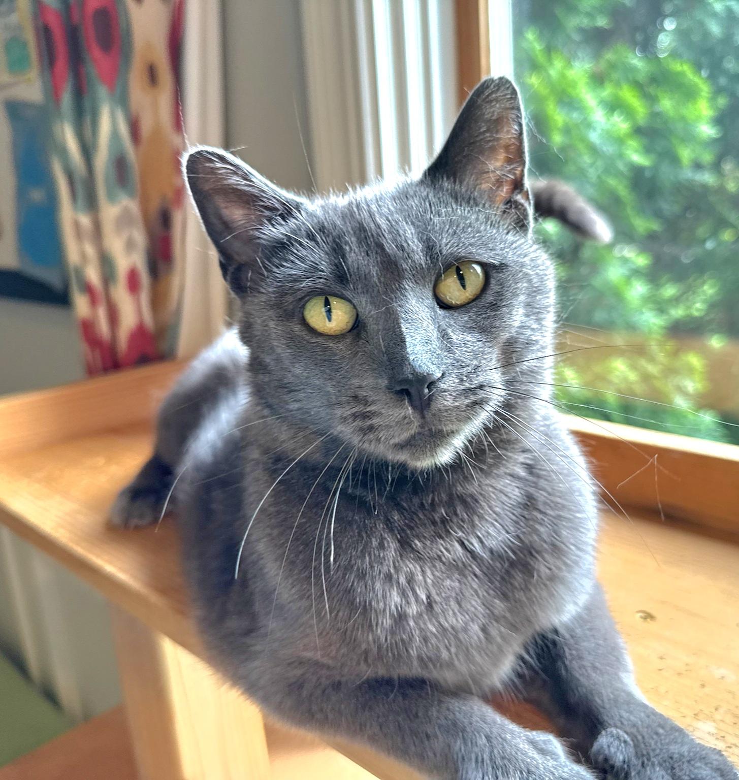 Lily