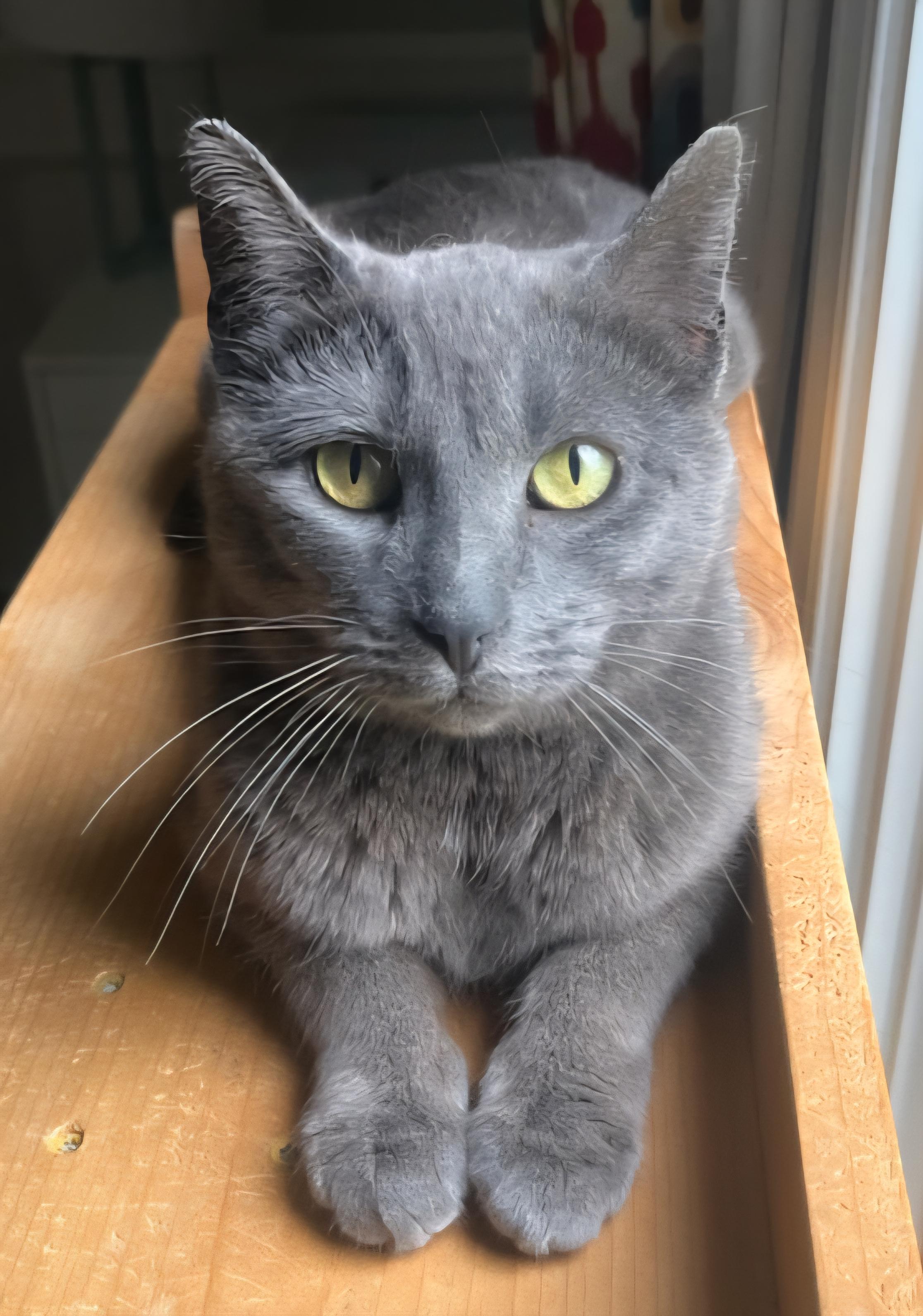 Lily