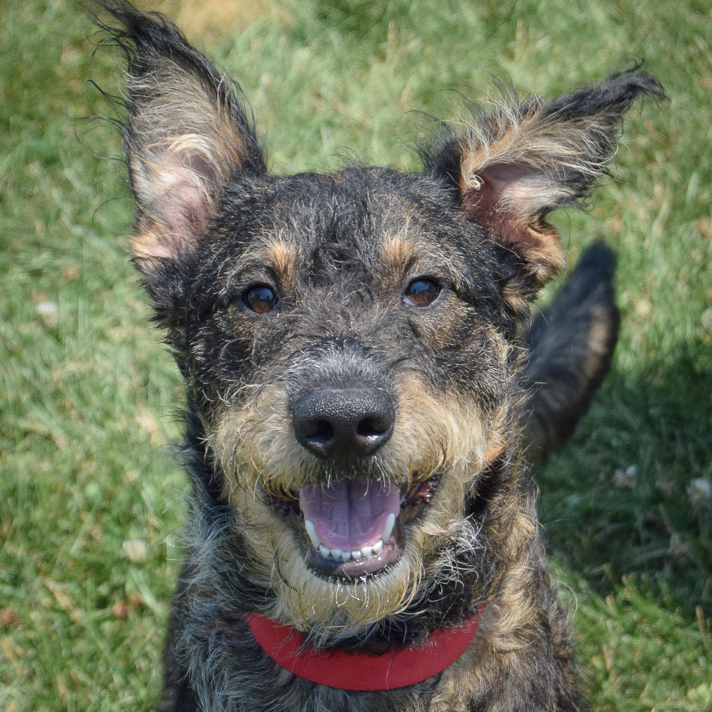 Maggie