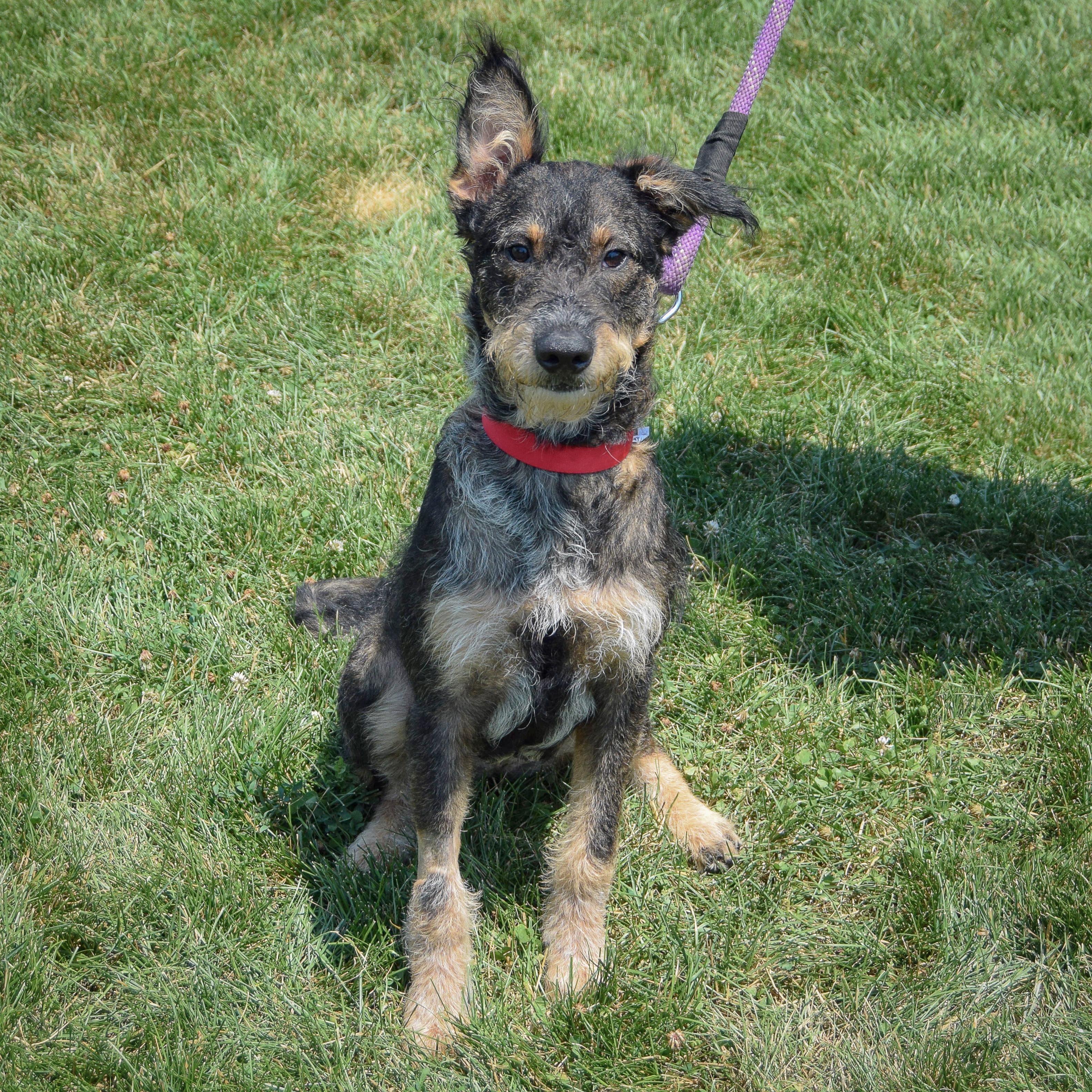 Maggie
