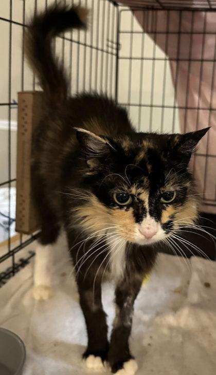 Gucci — thumbnail 2