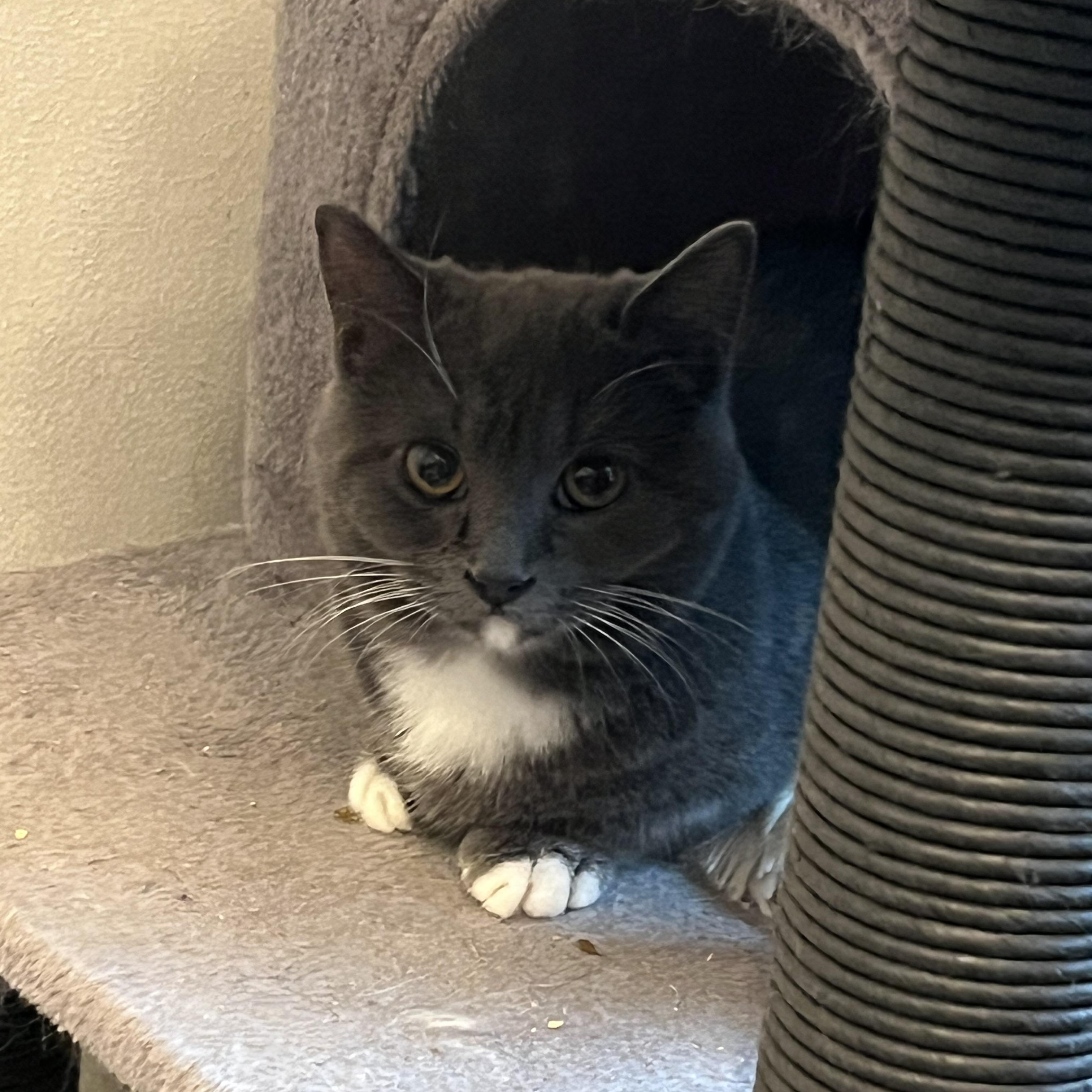 Angus & Gemma Brothersister thumbnail 2