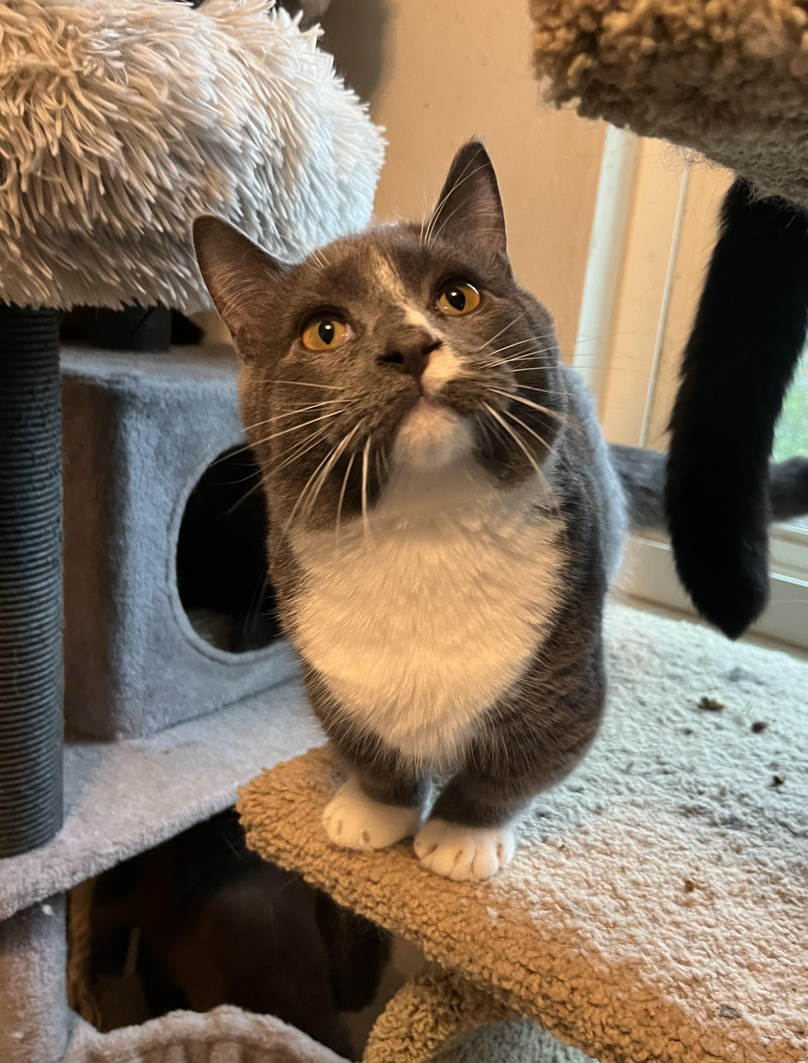 Angus & Gemma Brothersister thumbnail 3