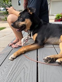 Mocha (Formerly Blair)