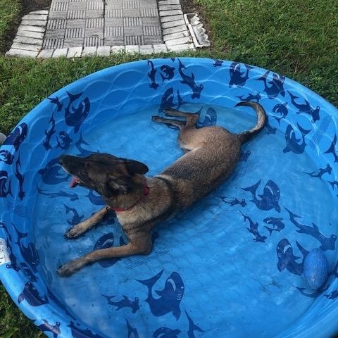 Maggie photo 4
