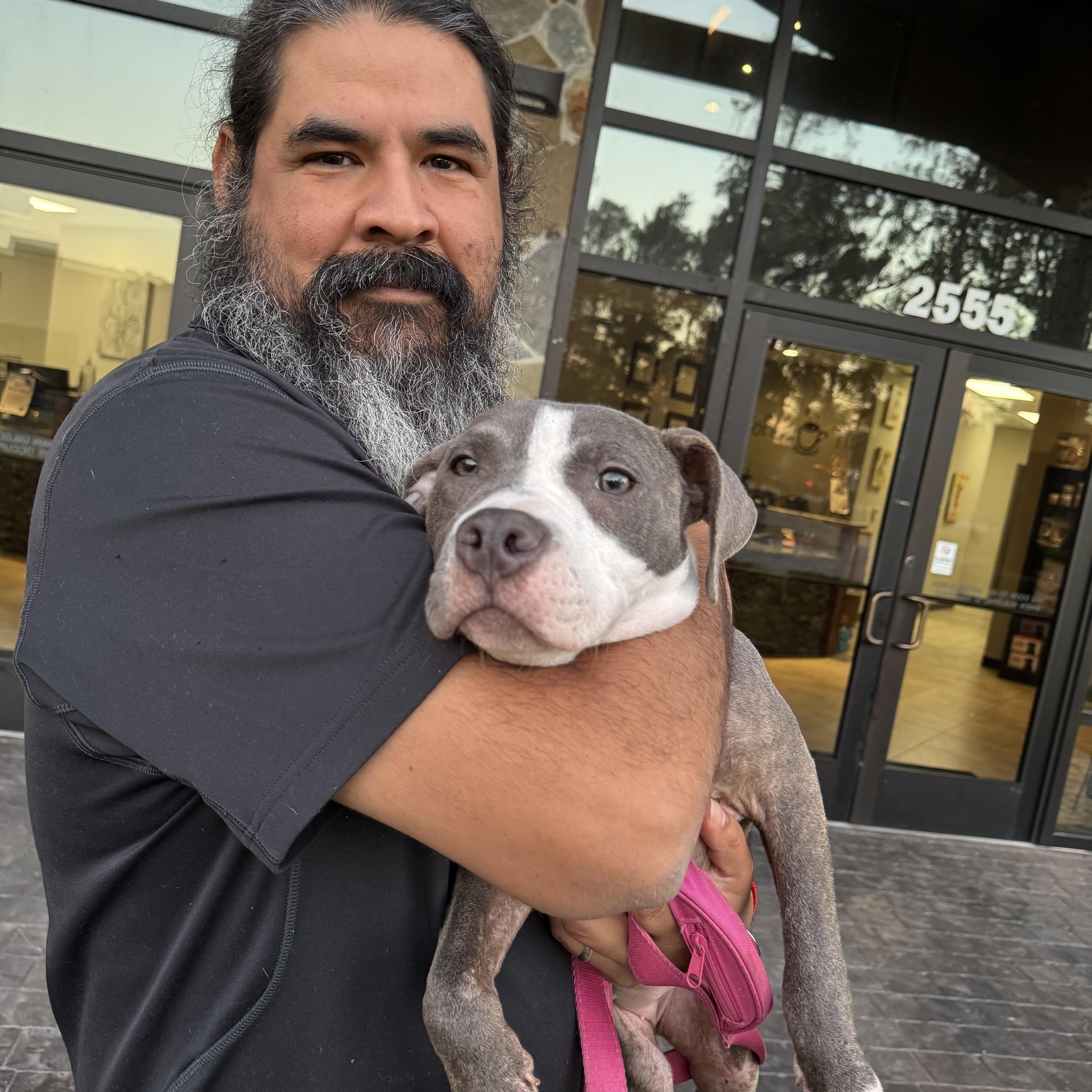 Bell, a Adoptable Pit Bull Terrier in houston, TX image 5/6