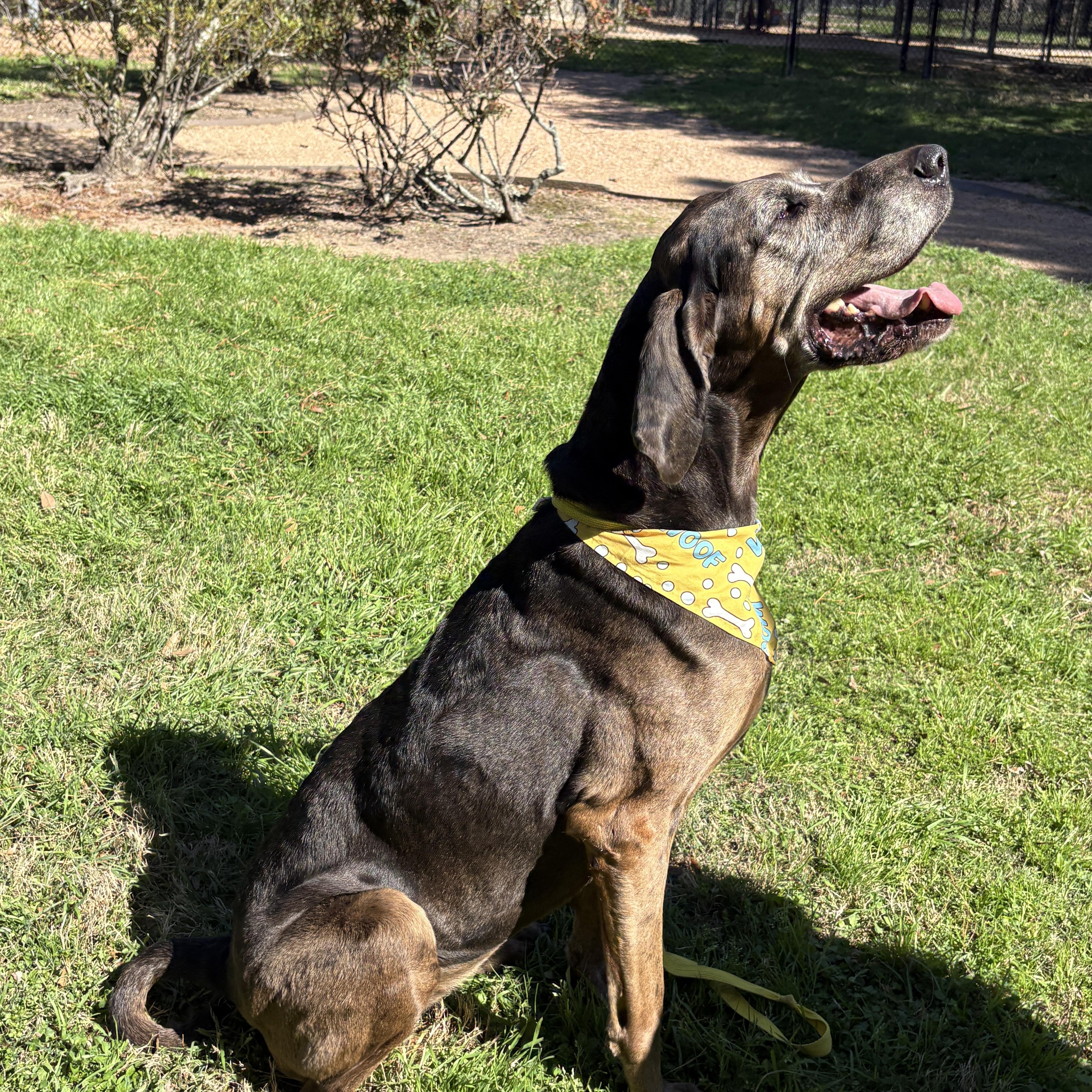 MAGGIE- super sweet girl!