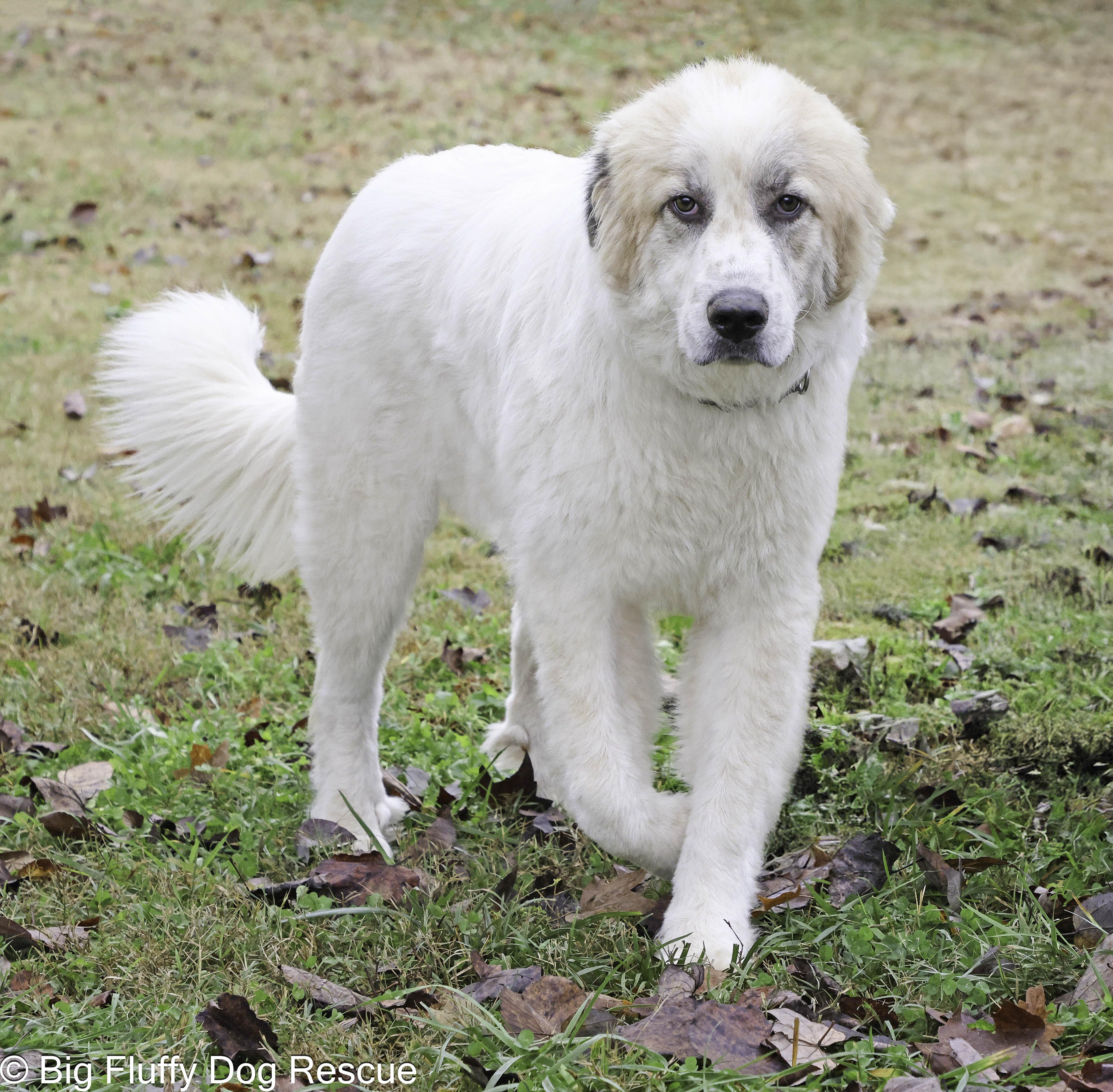 Usher — thumbnail 2