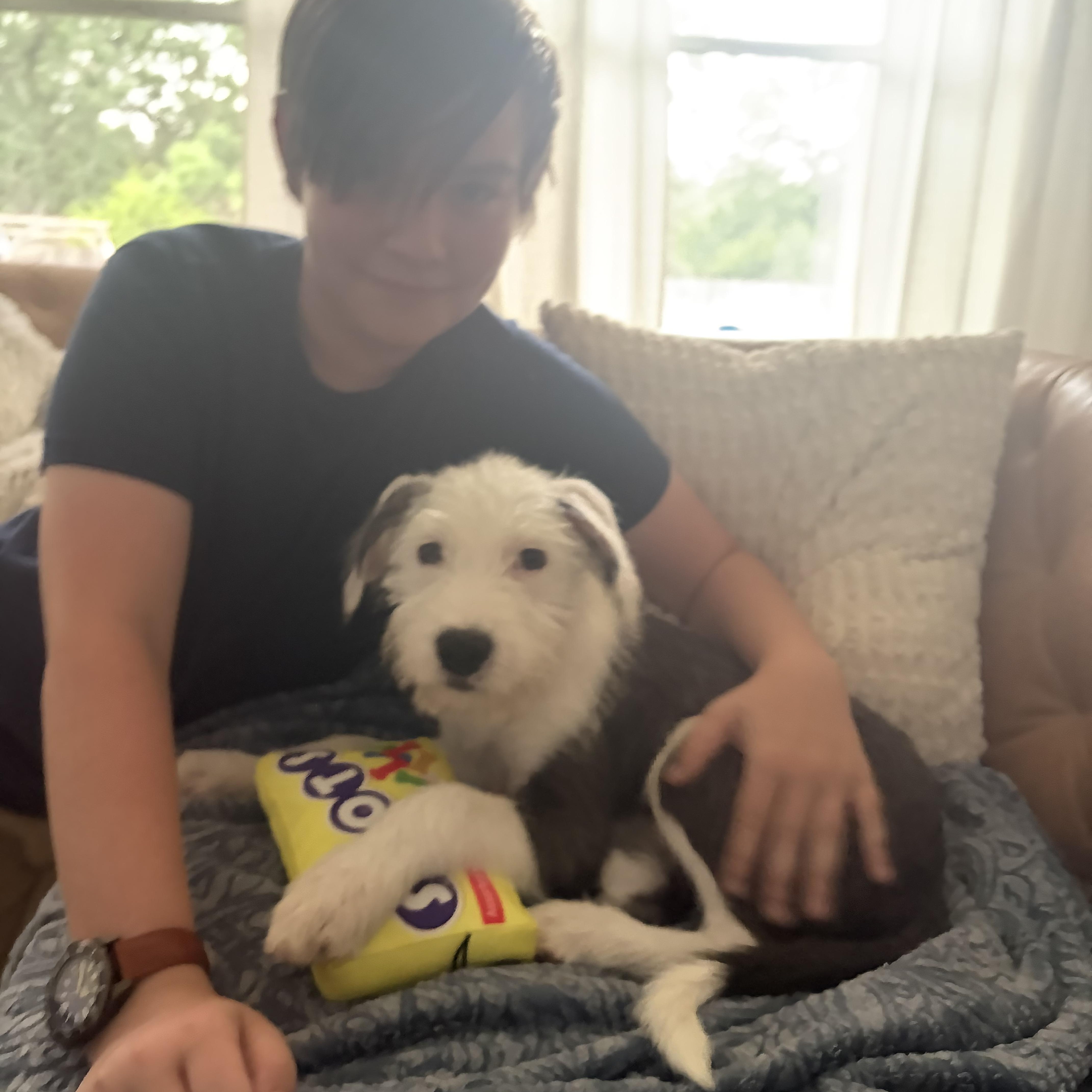 Paisley, an adopted mixed breed in Jersey City, NJ image 5/6