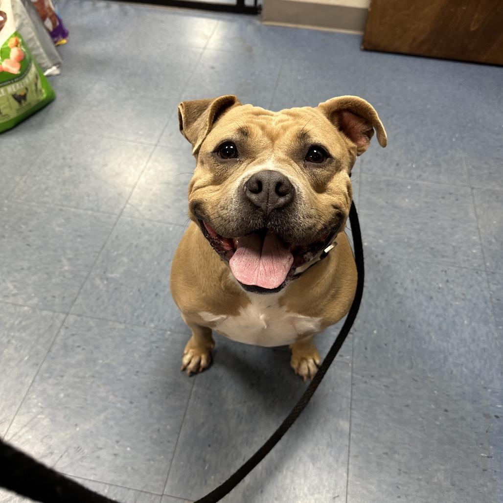 Big Bertha — thumbnail 3