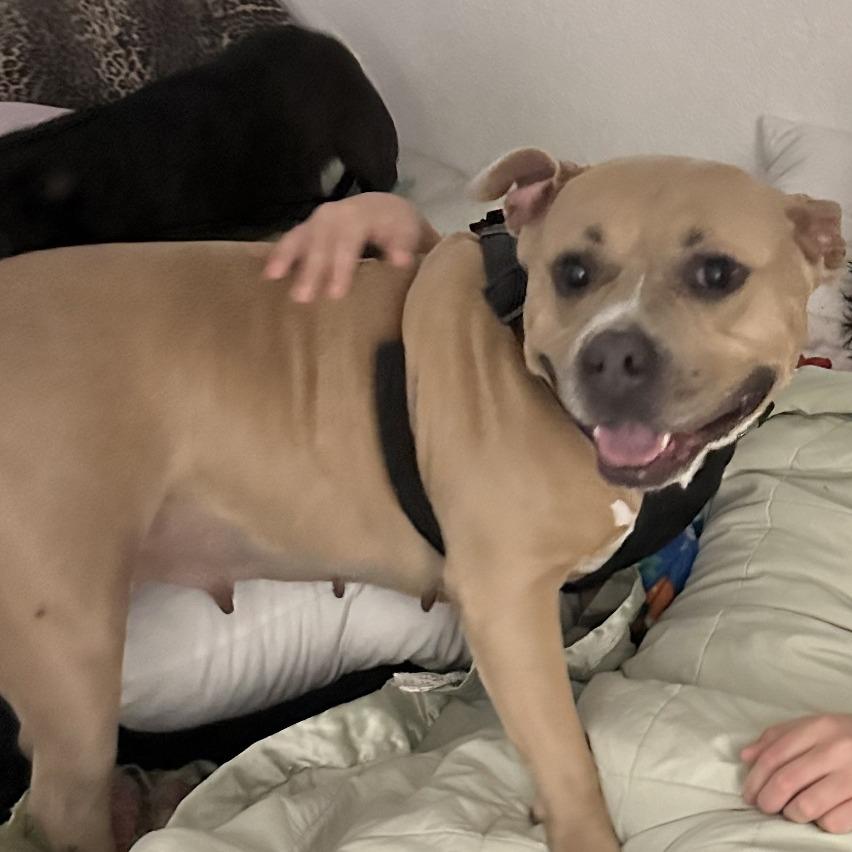 Big Bertha — thumbnail 4