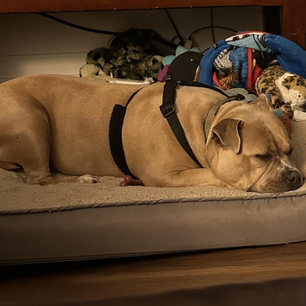 Big Bertha — thumbnail 6