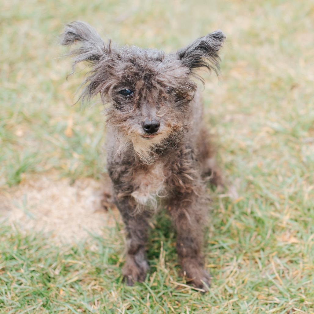 Tarjay — thumbnail 4