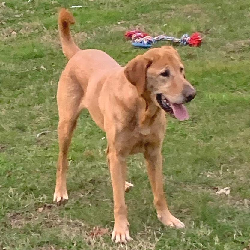 Belly Boops — thumbnail 2